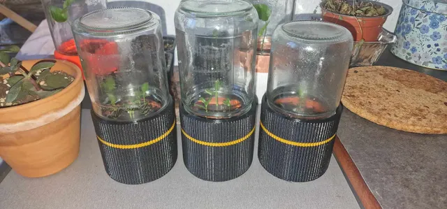 Greenhouse jar mk3