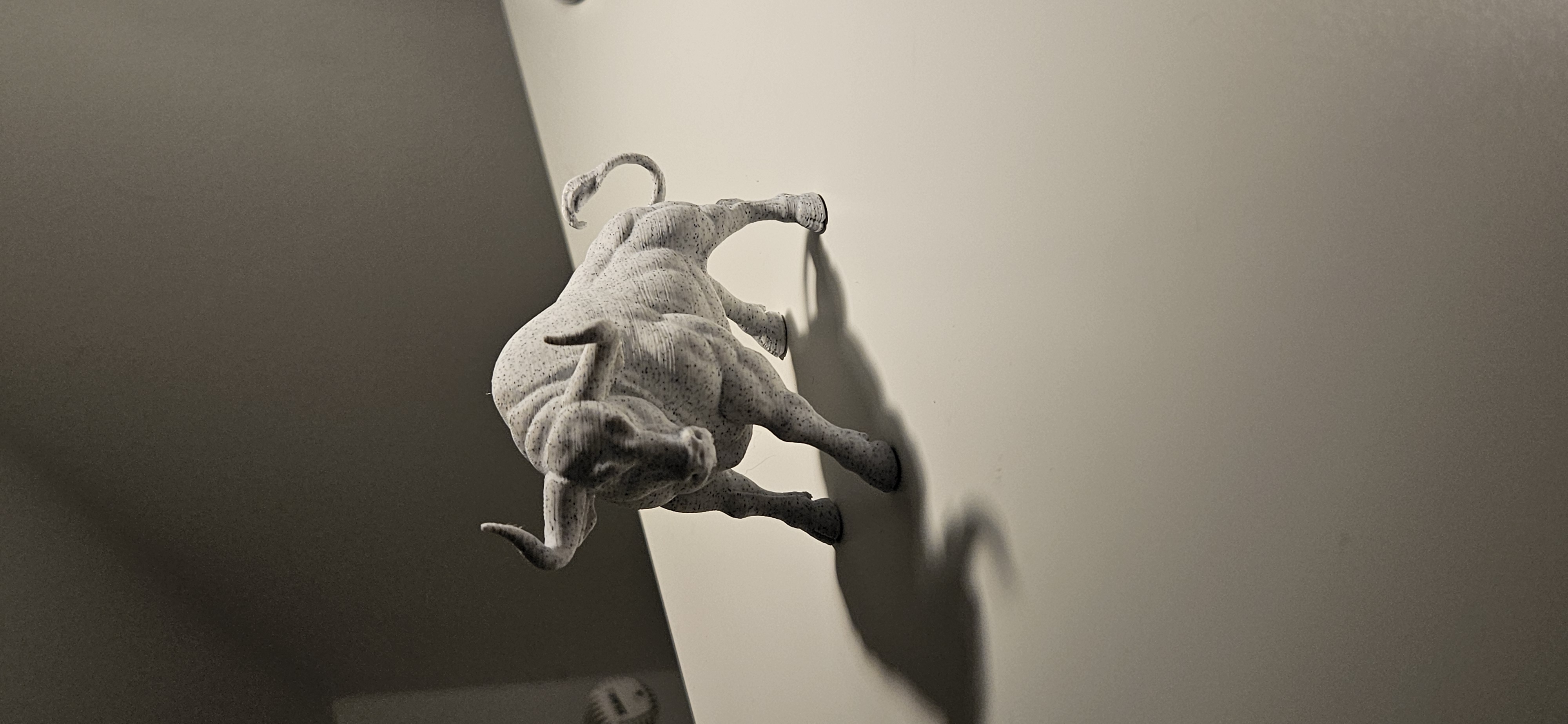 THE Bull