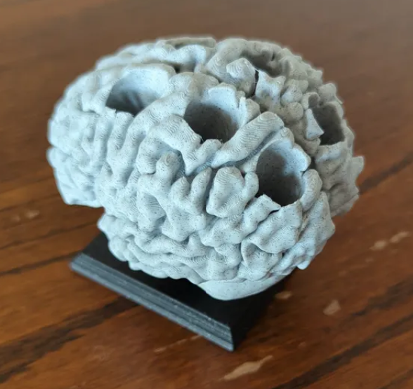 Human brain pen holder