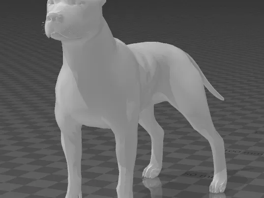 Pittbull