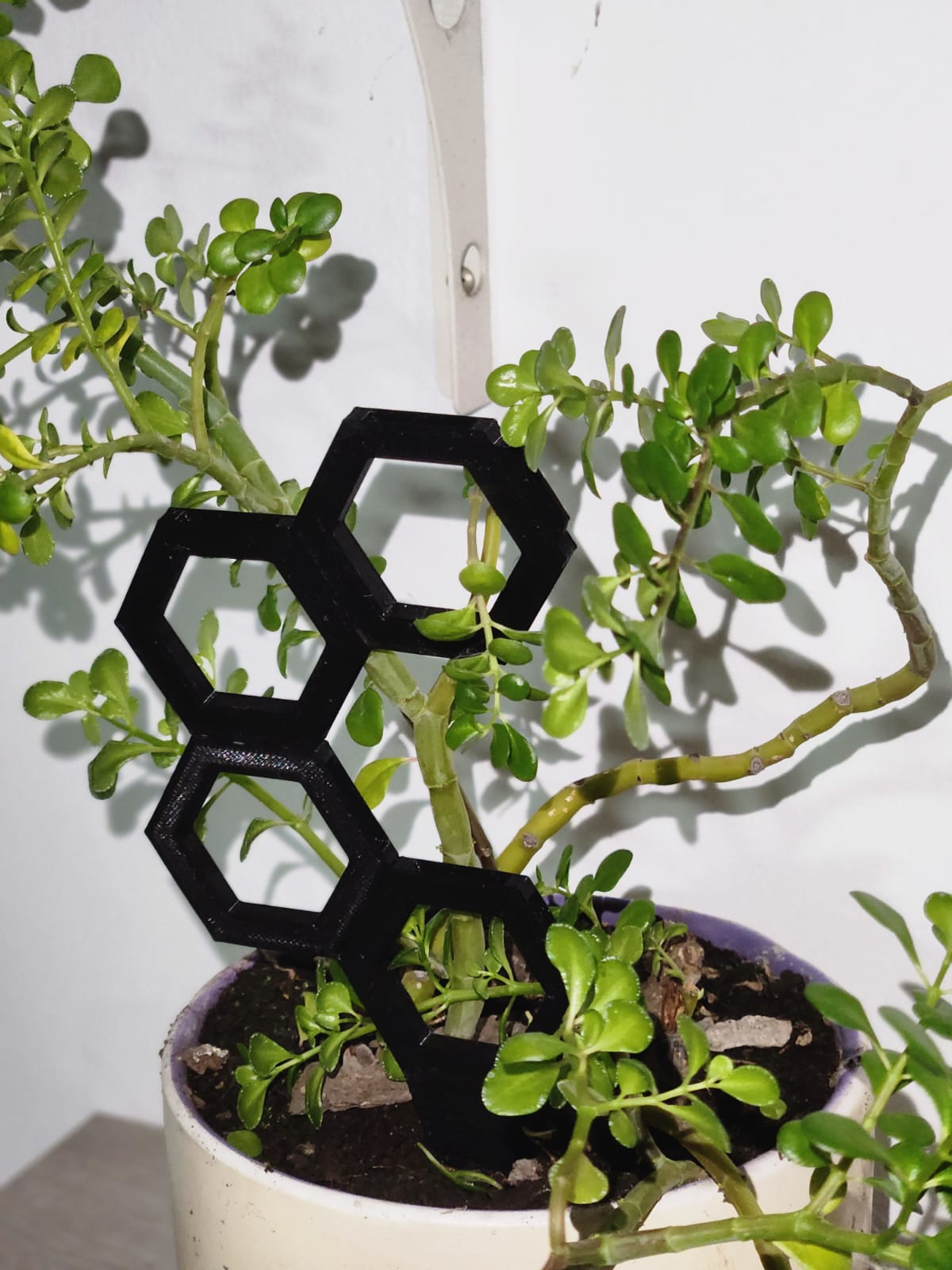 HexaGrowth: The Futuristic Modular Plant Climber