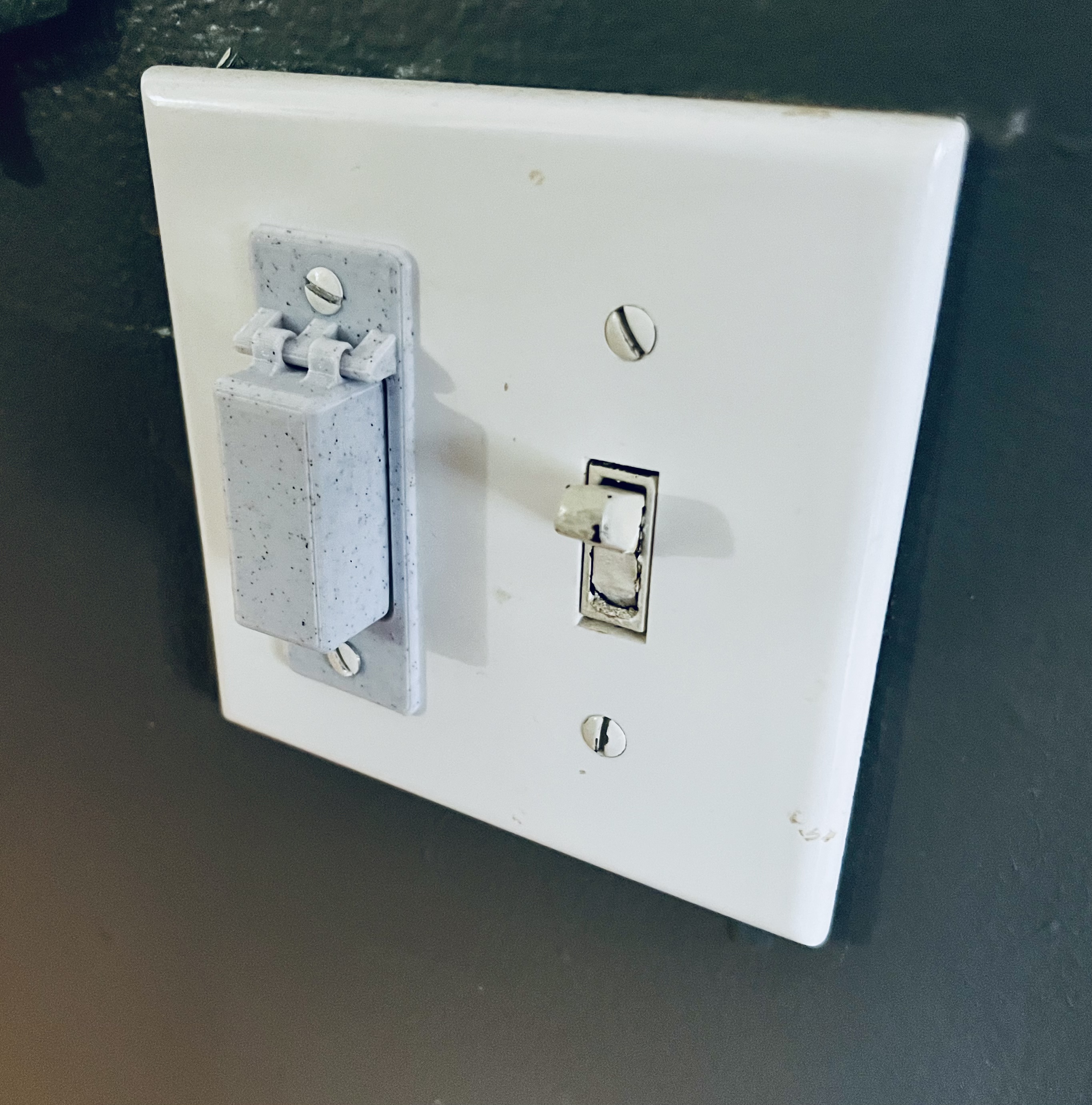 Light switch cover - hinged, PIP