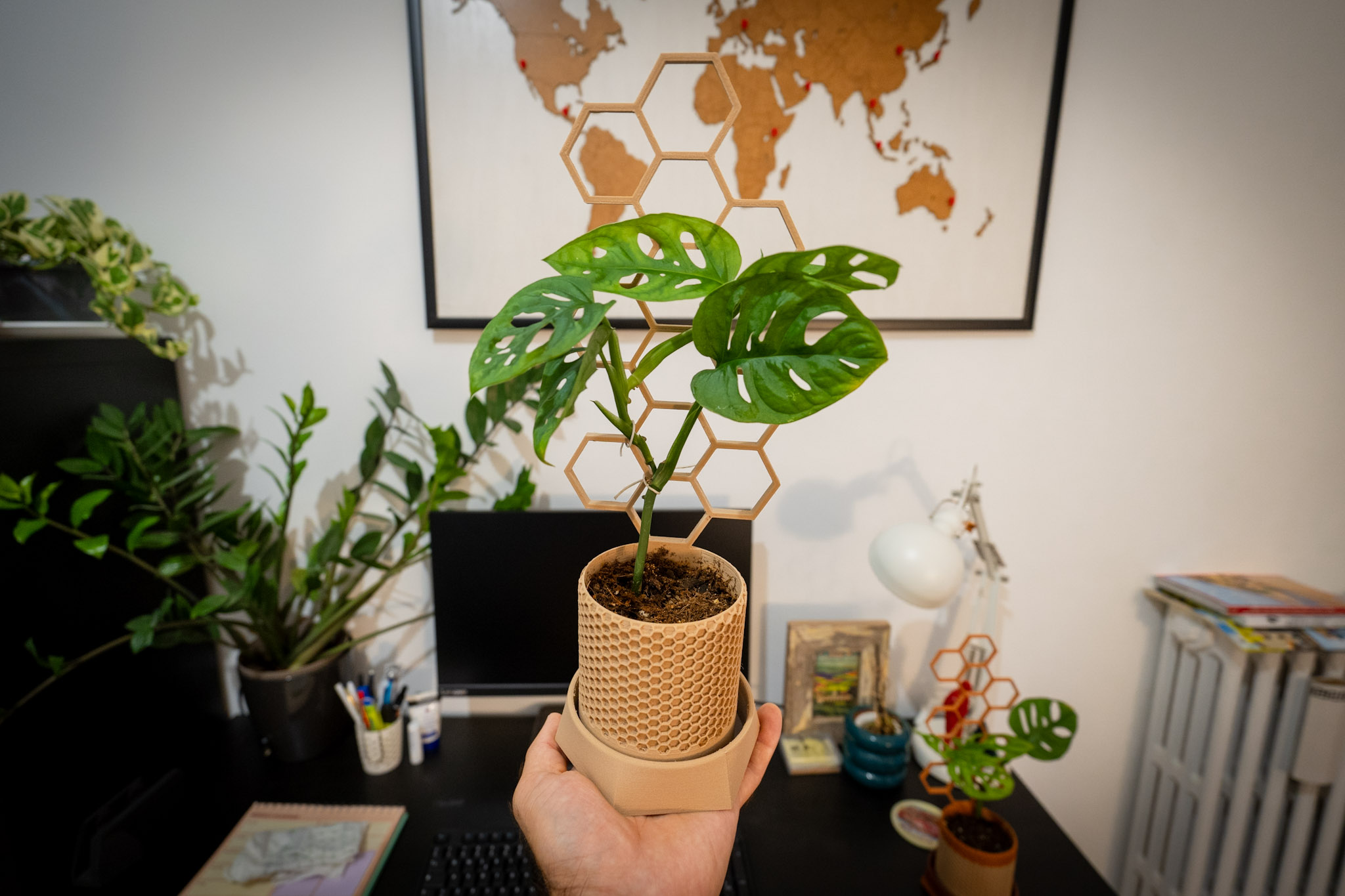 Hexagonal style stand plant pot