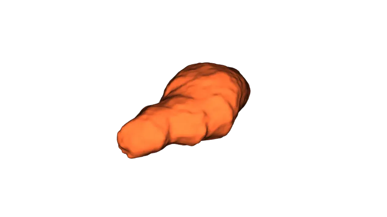 Asteroid 4179 Toutatis