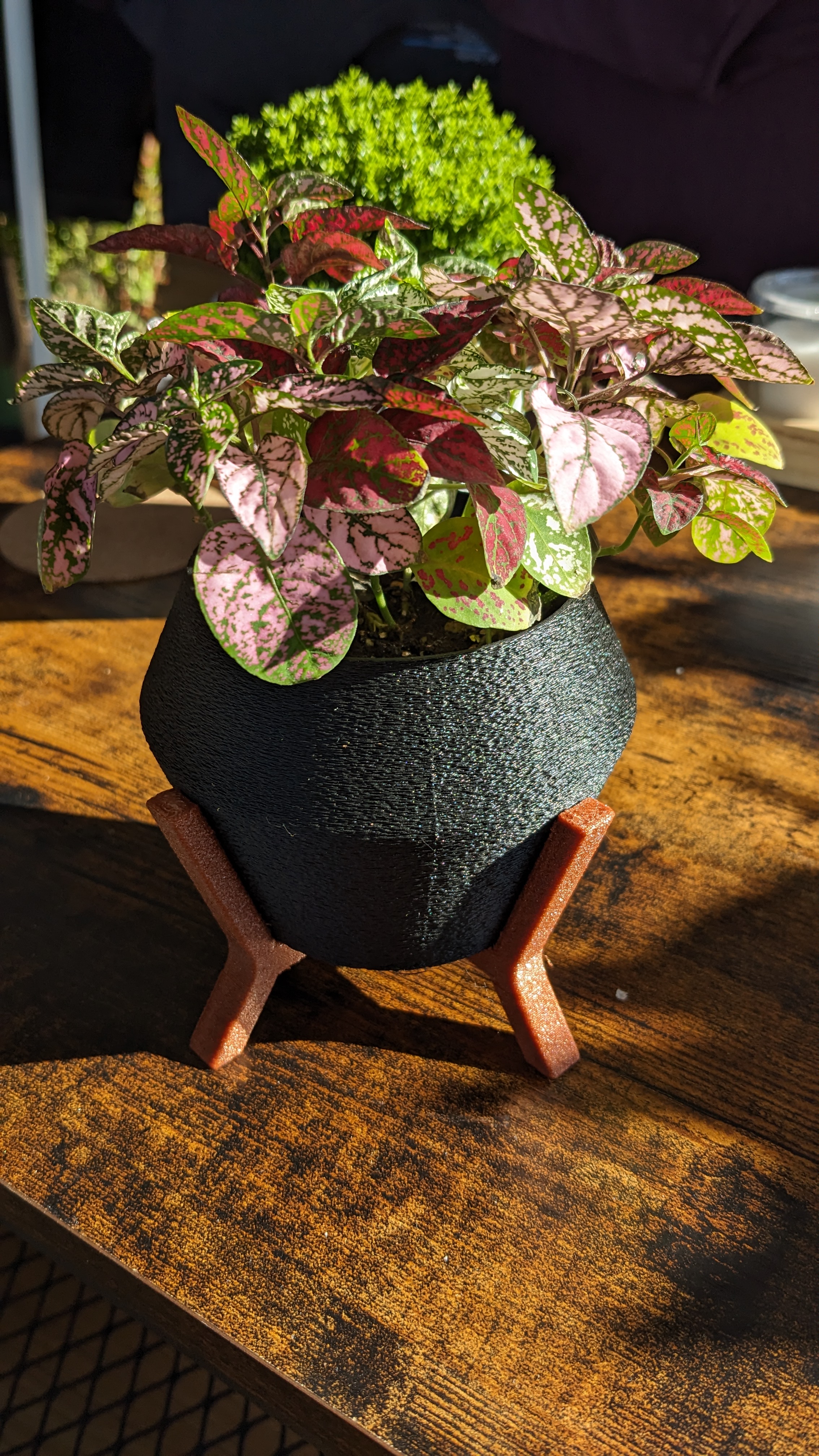 Flower Pot with Stand