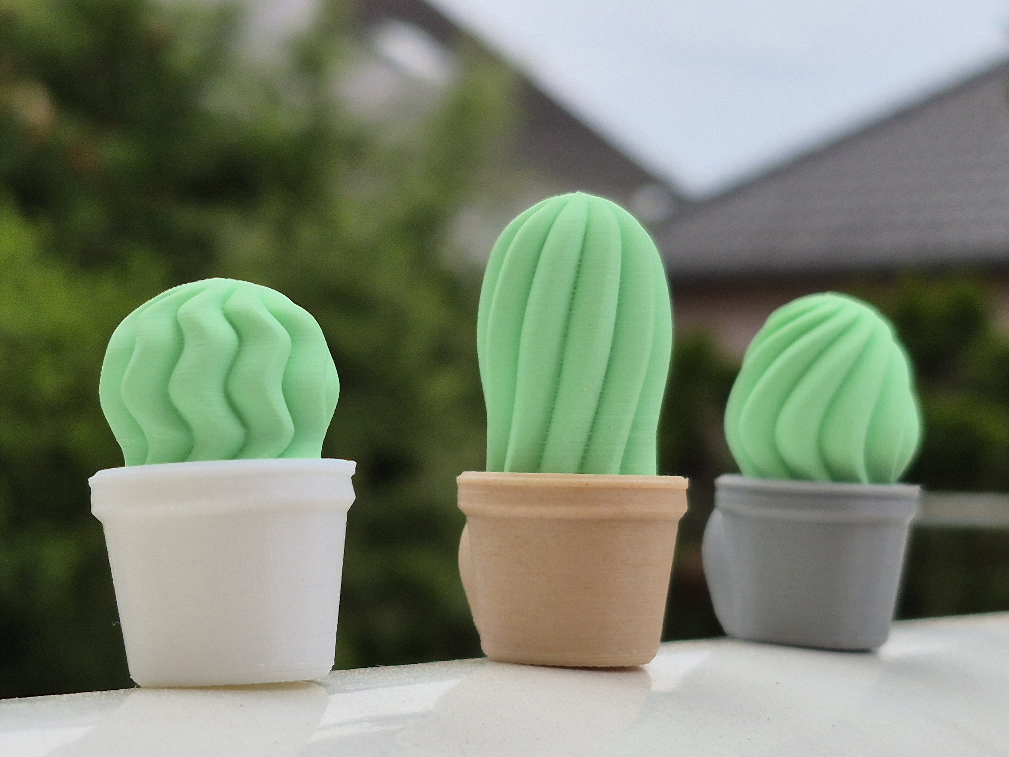 Design Cactus Magnets (10x2mm Magnet)