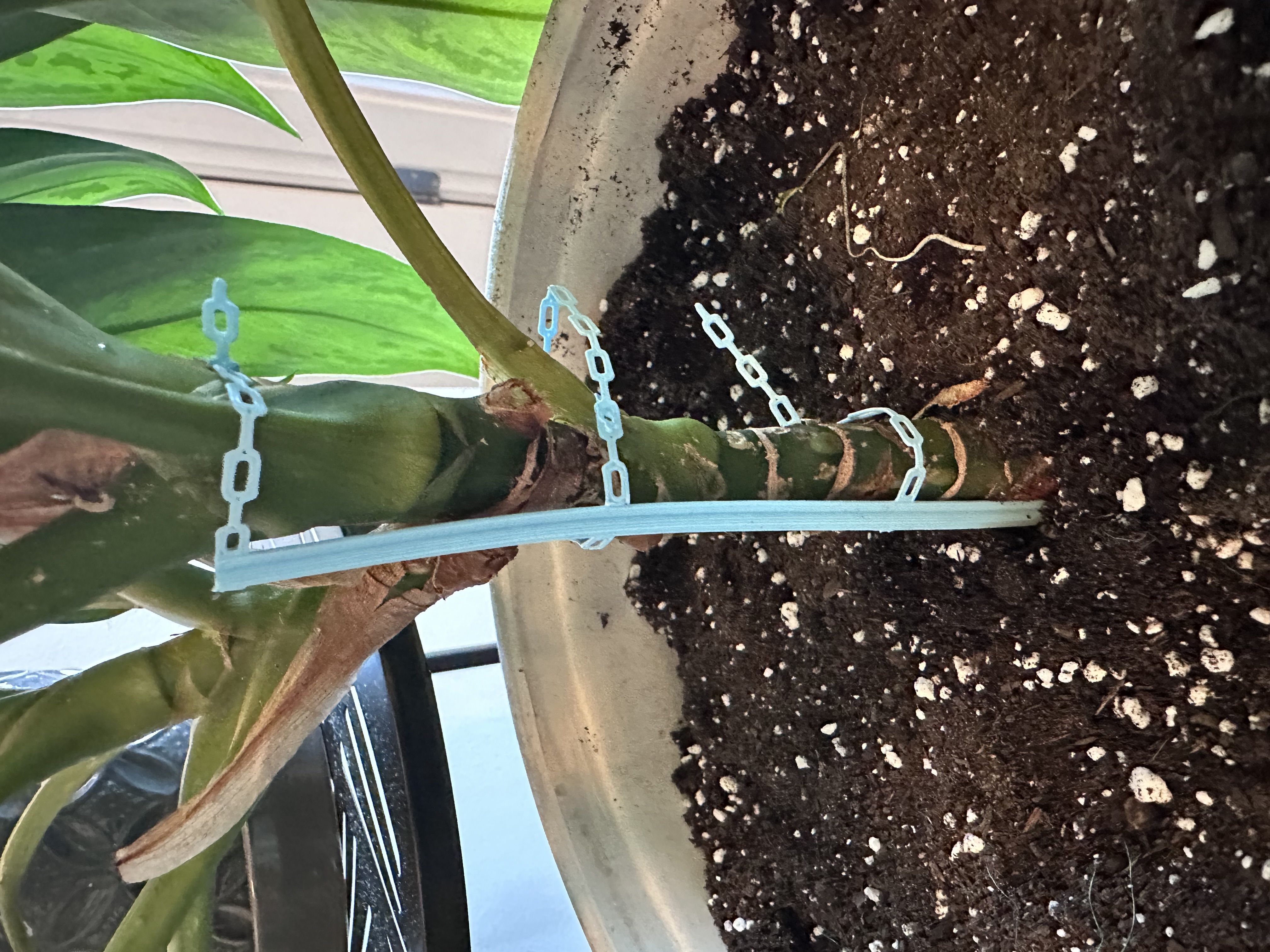 Plant Stake - Improved Version