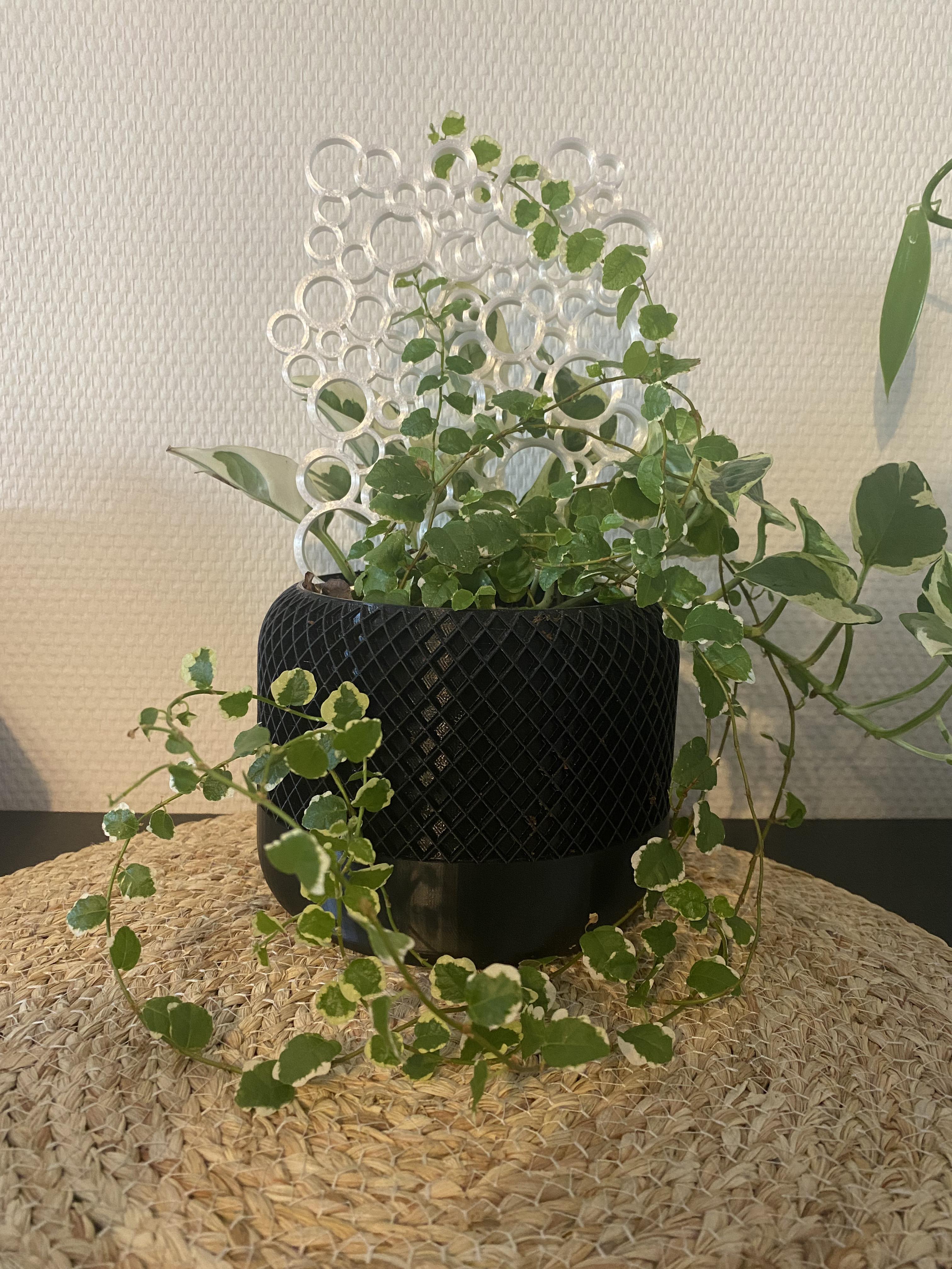 Bubble plant support