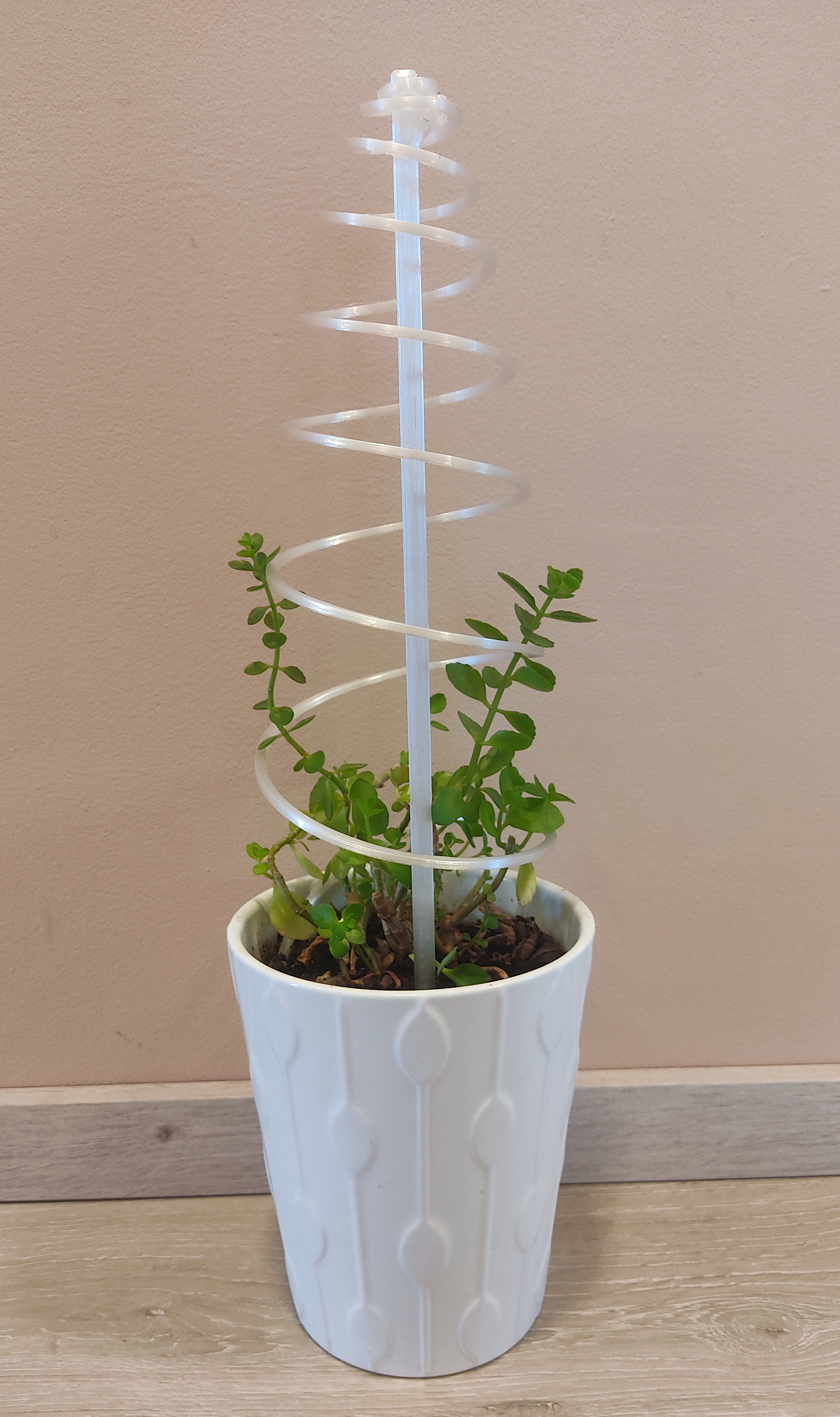 Spiral Plant Support (flatbed)