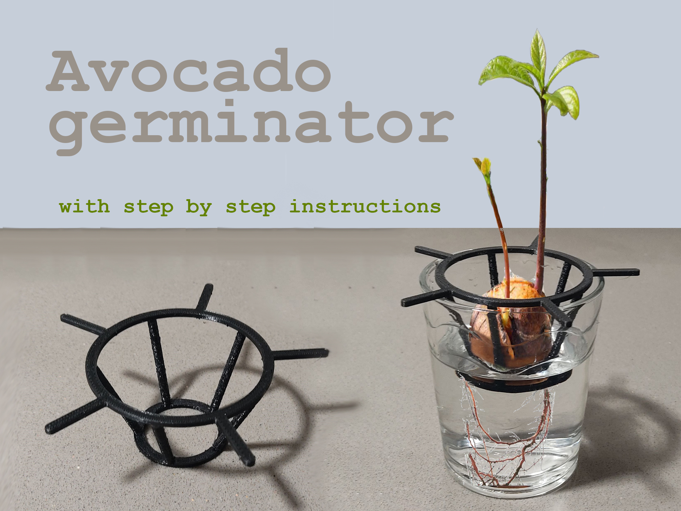 Avocado germinator 3D model thumbnail