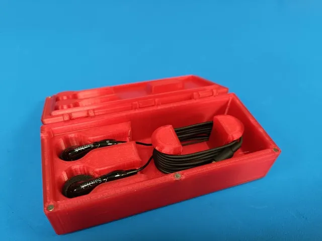 Earphone Magnetic Hinged Case