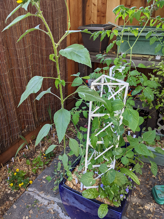 Paramaterized triangular truss for climbing plants (or other interesting uses)