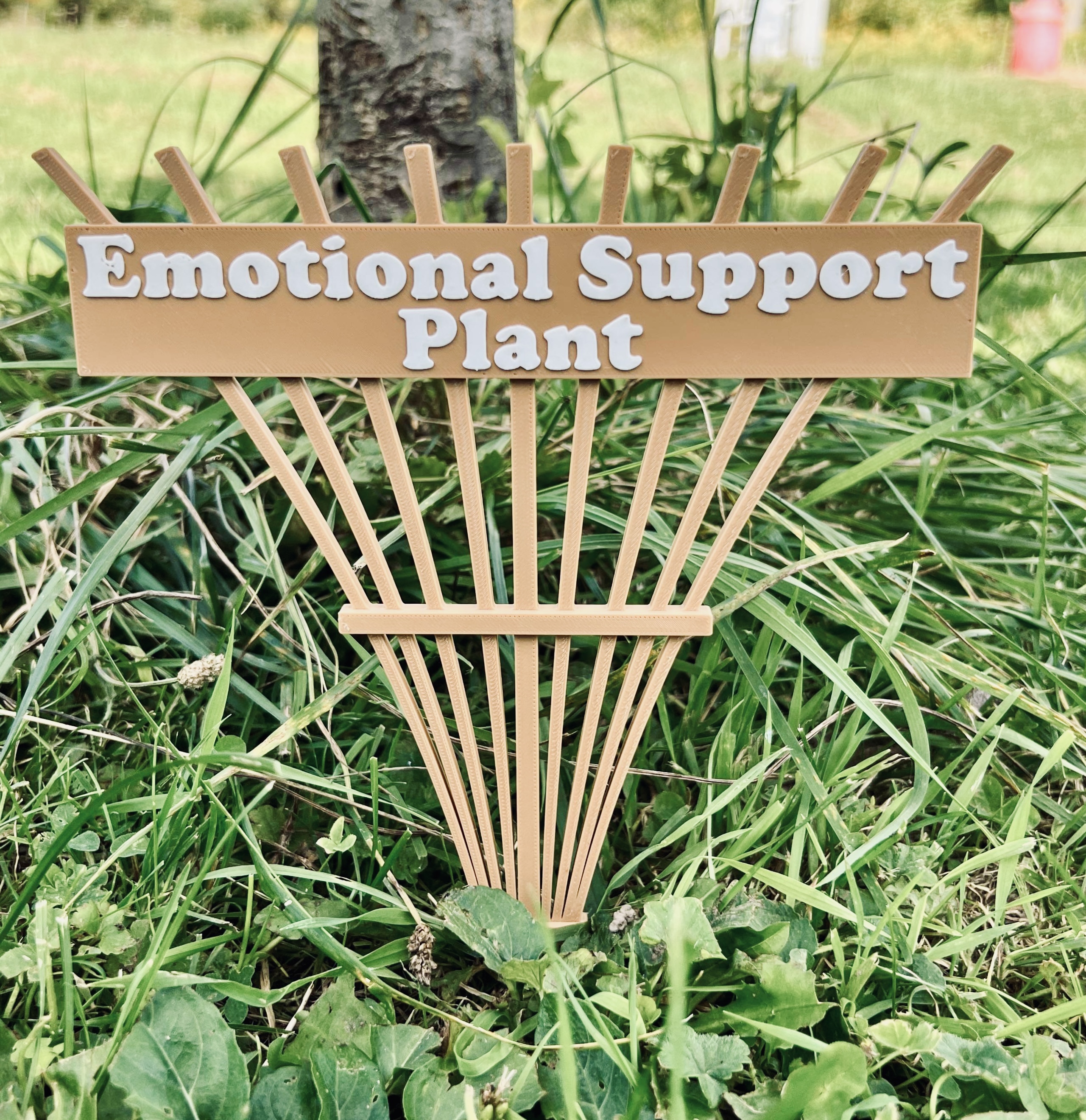 Emotional Support Plant Plant Support