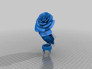 Rose Plant Climber