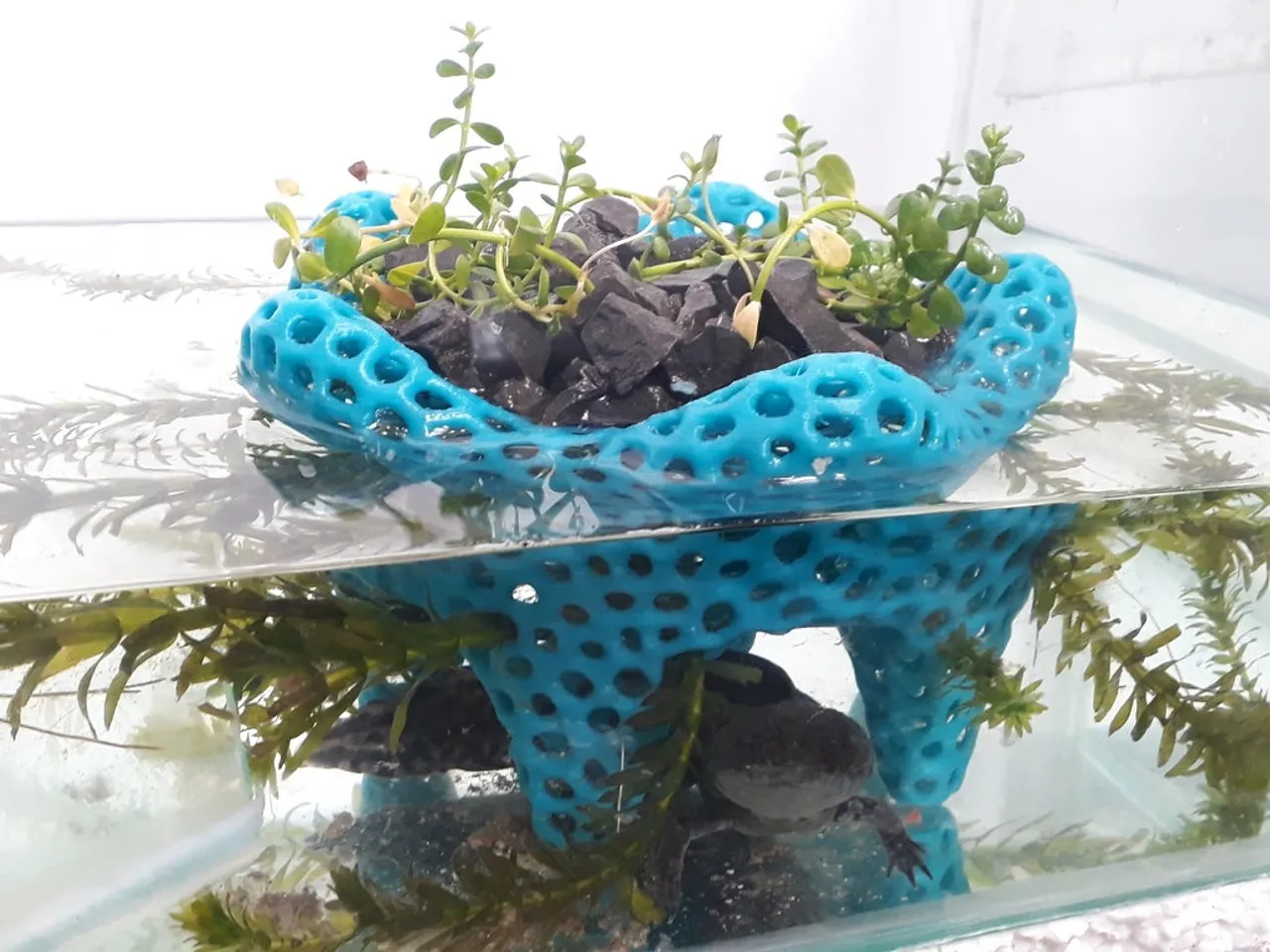 Aquarium bowl 3D model