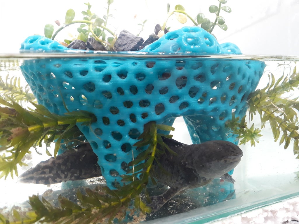 Miniatura 5 do modelo 3D Aquarium planter
