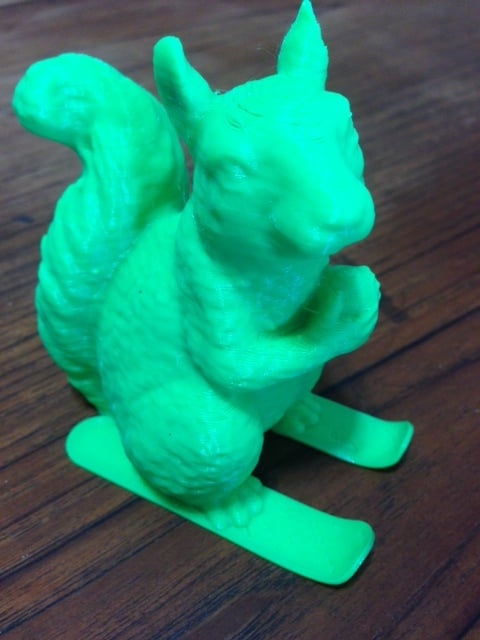 ski squirrel