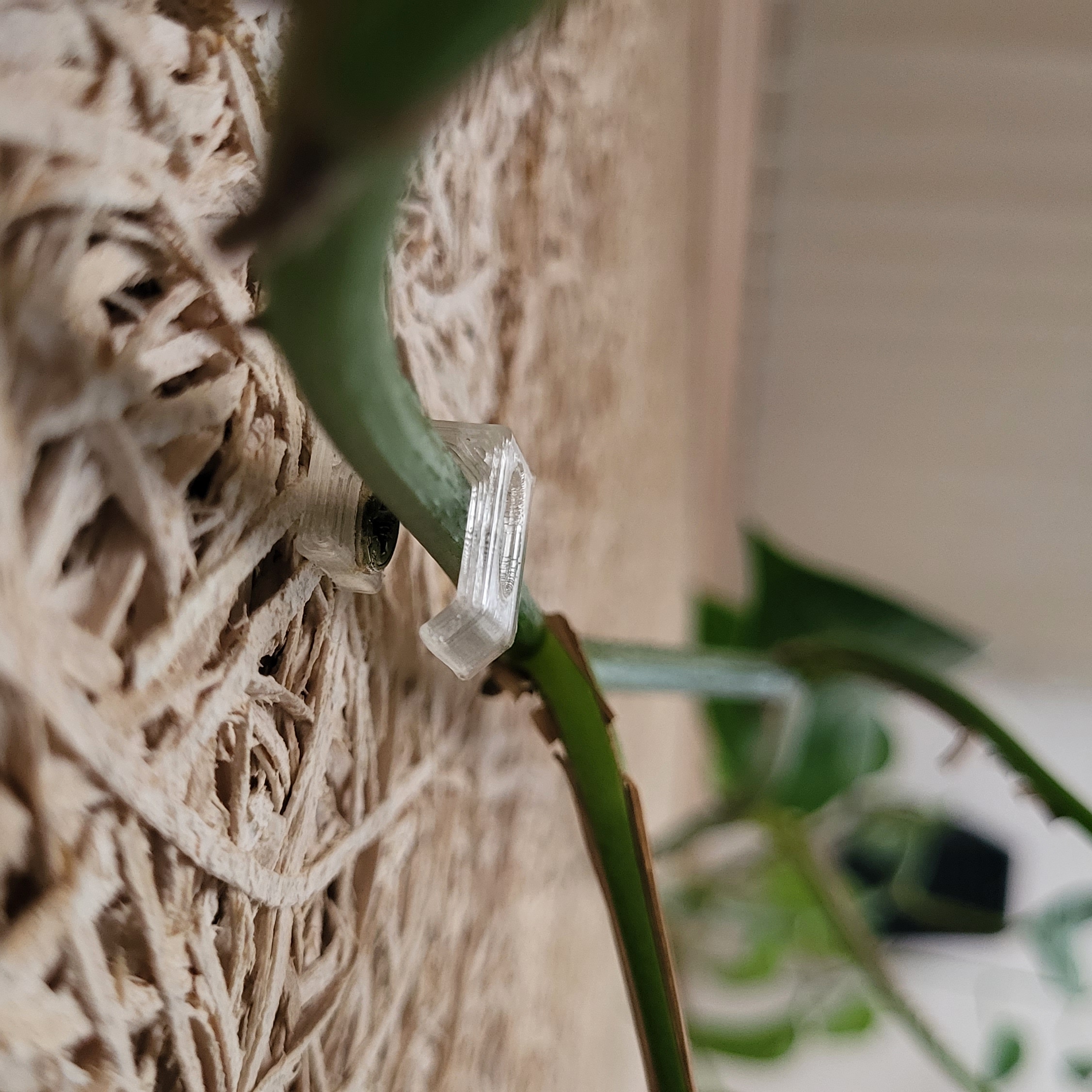 Climbing plant ceiling support