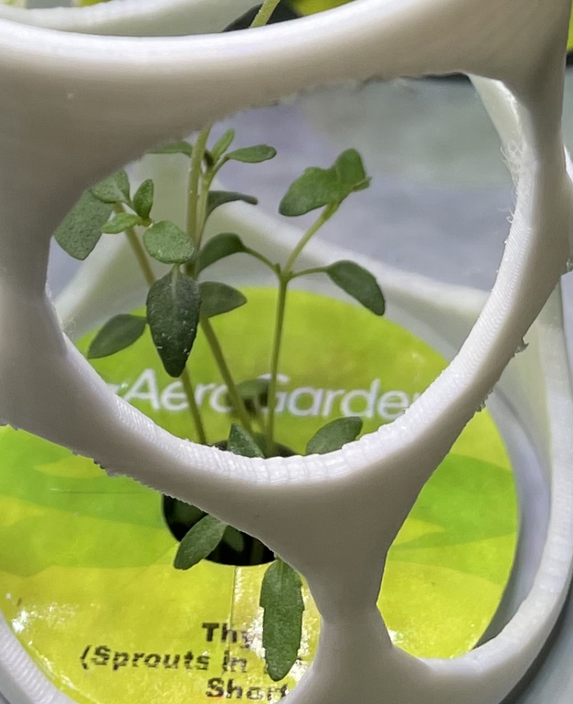 AeroGarden / Seedling support (stackable)