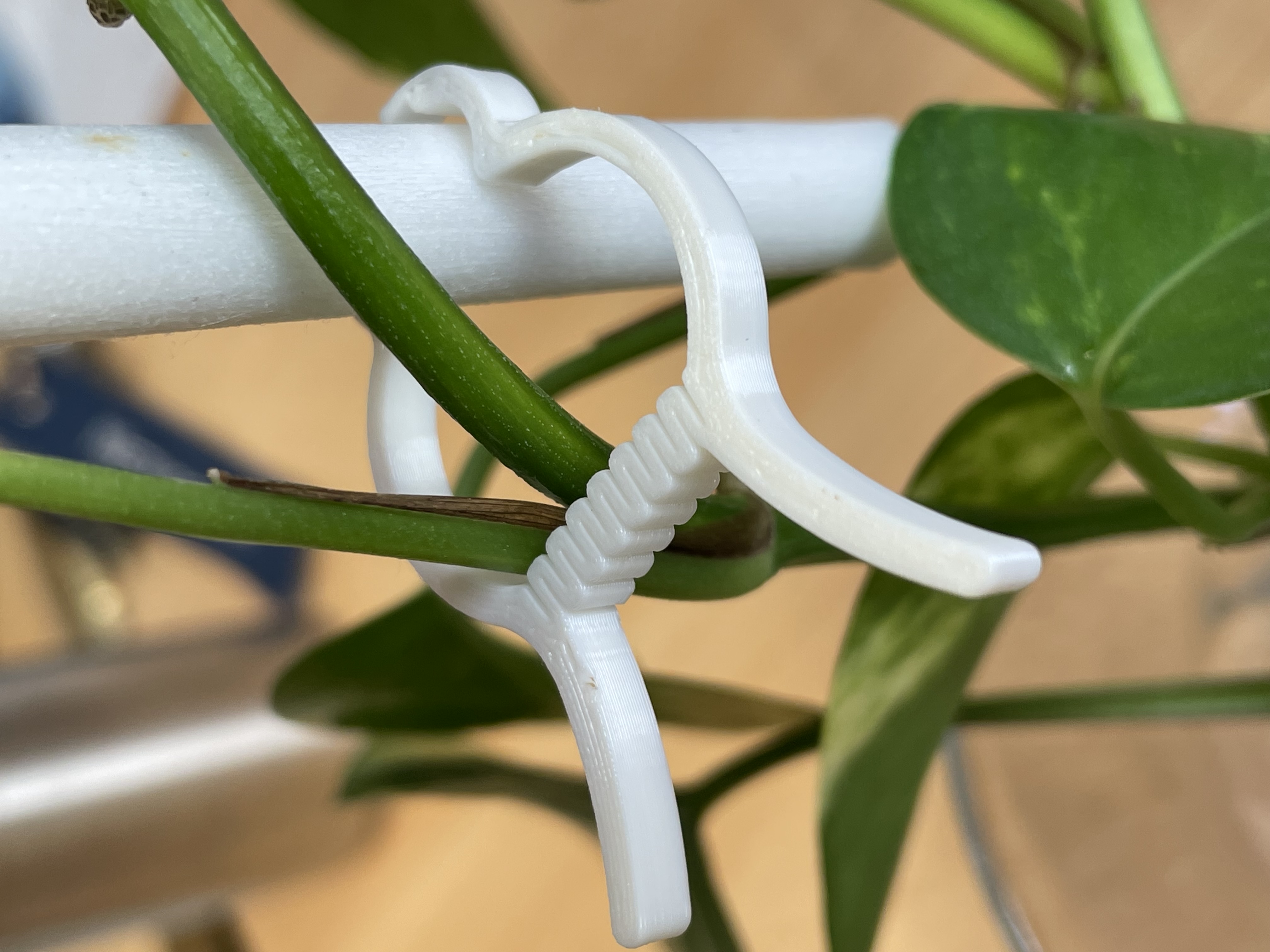 Miniatura 2 do modelo 3D Plant clip