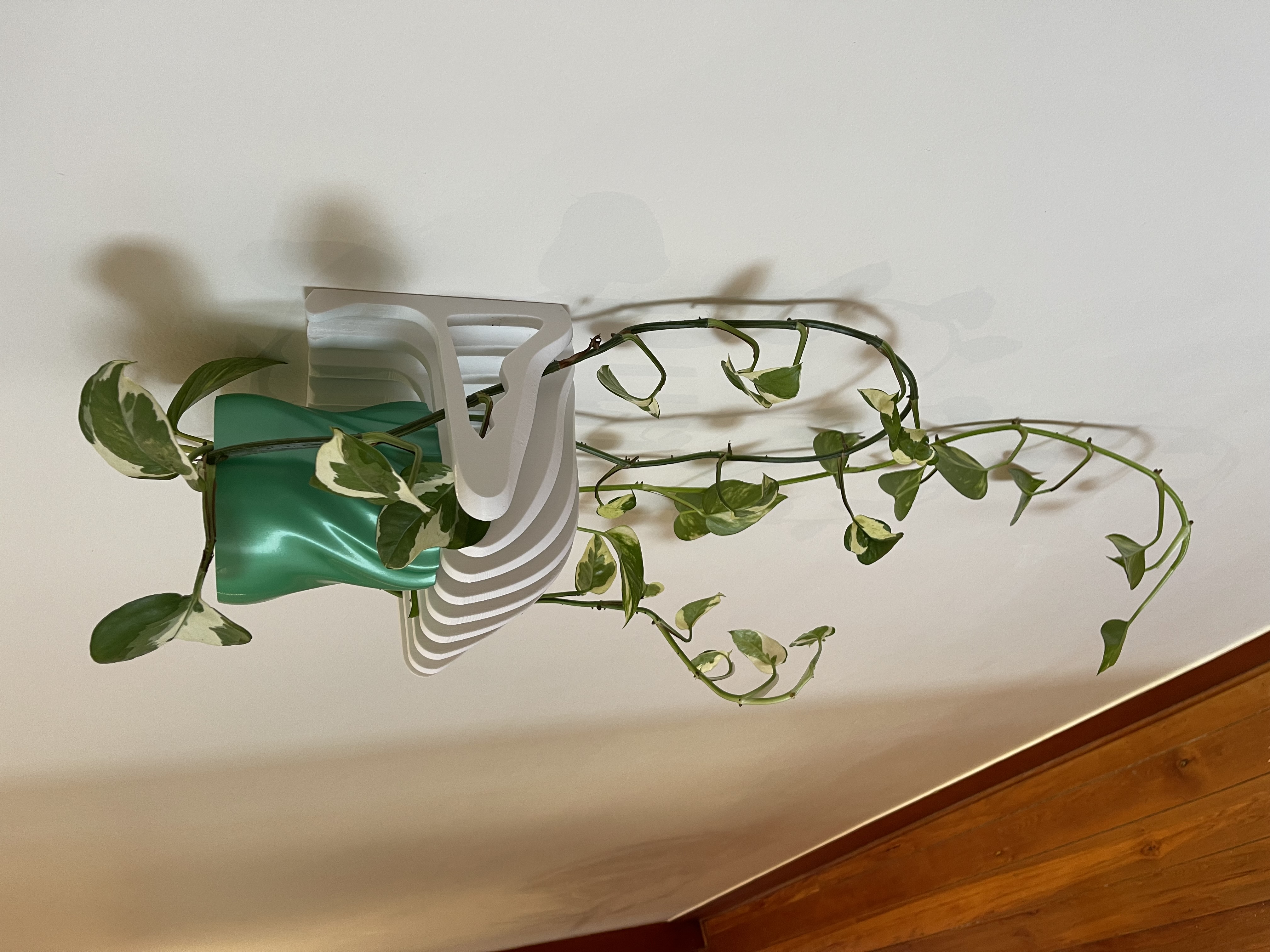 Upside down climber shelf & pot