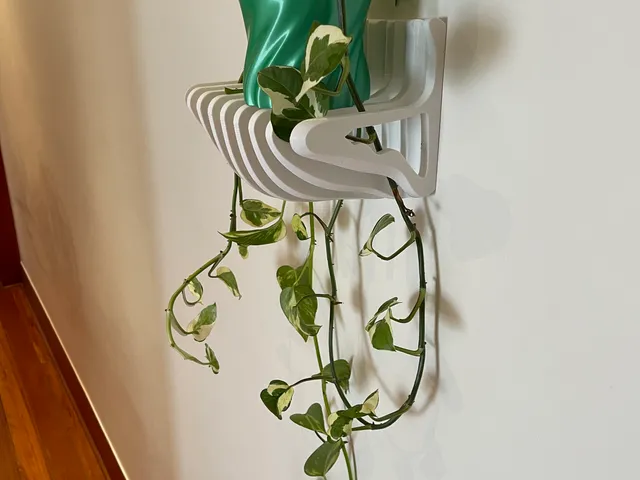 Upside down climber shelf & pot