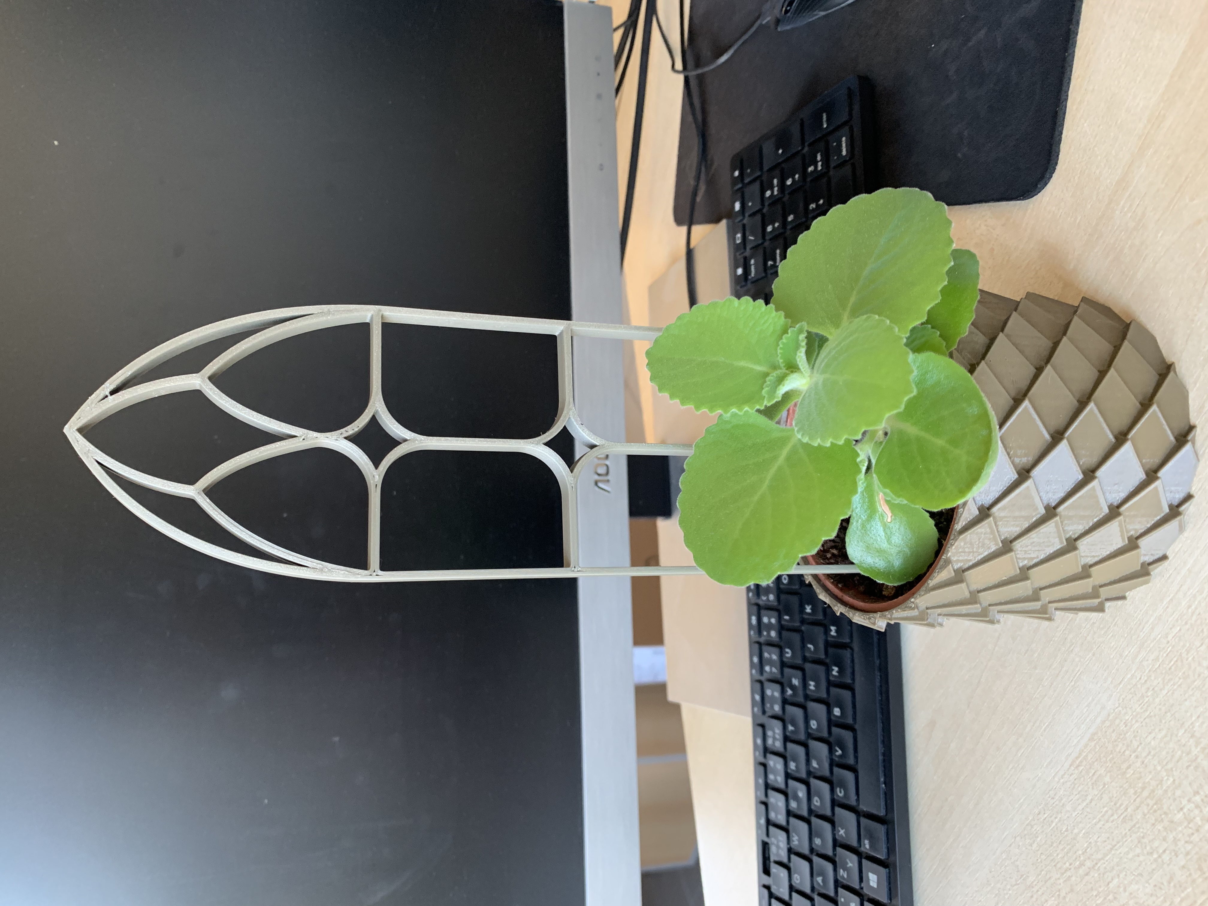 Window plant climber