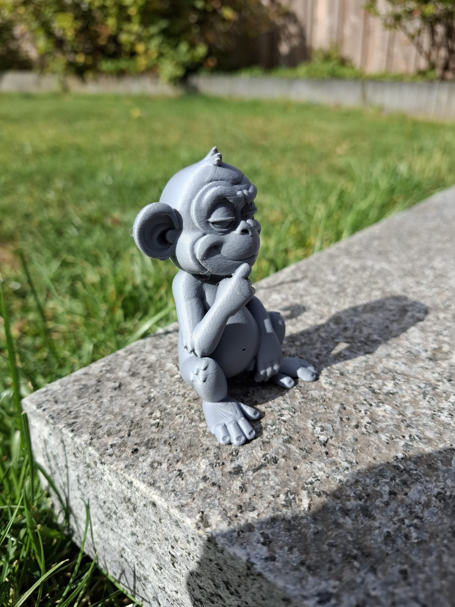 Cheeky Thinking Monkey — thumbnail 2