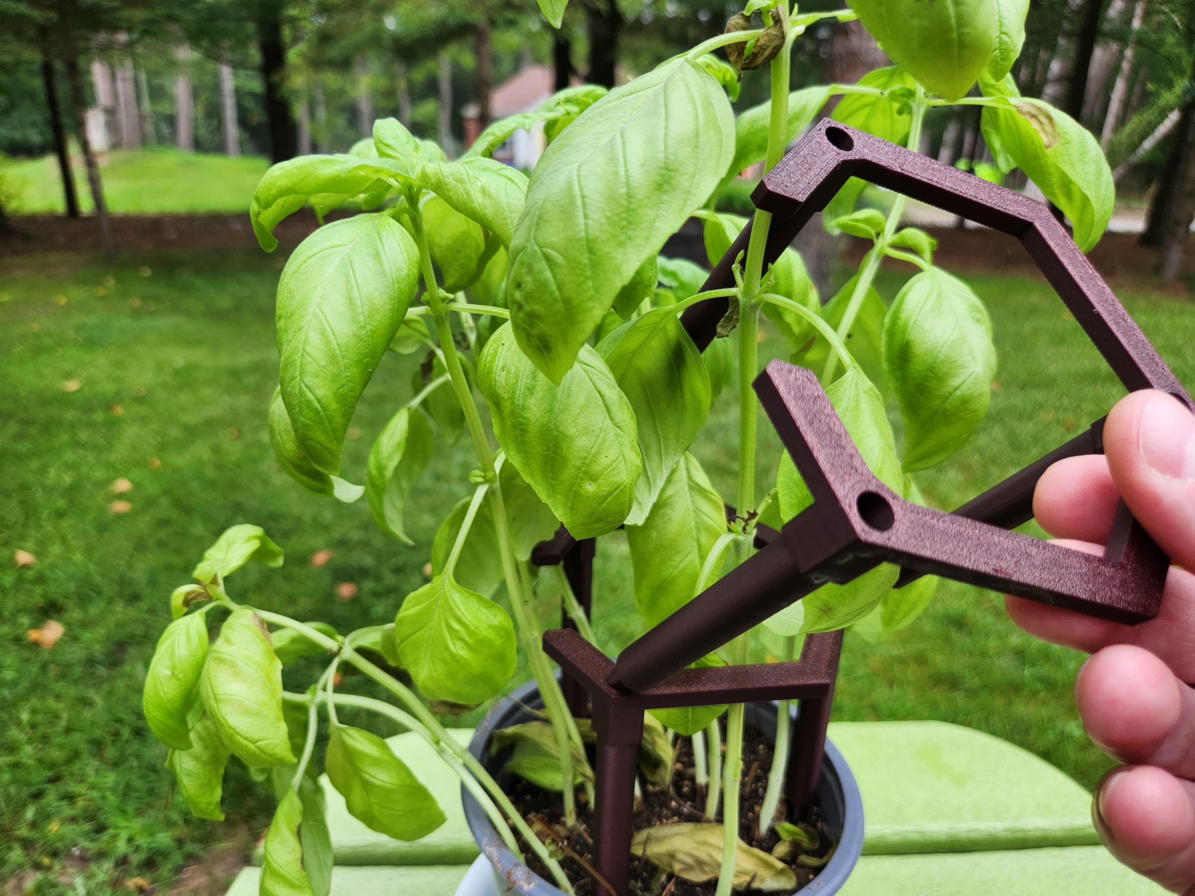 Open Cage Stackable Plant Support Stakes