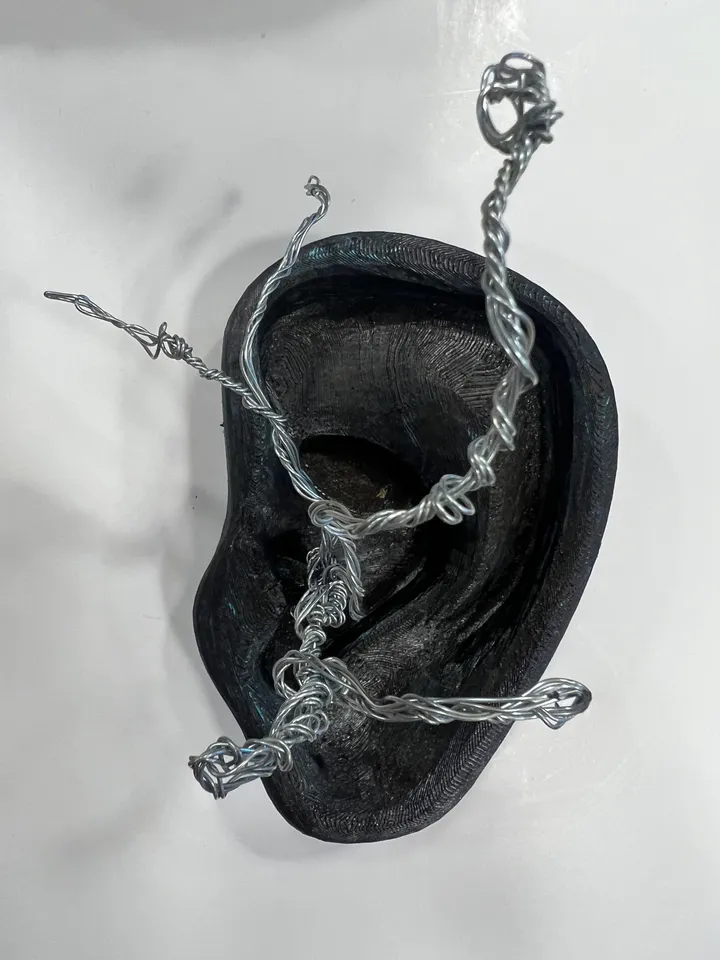 EAR by poppydovedesign | Download free STL model | Printables.com