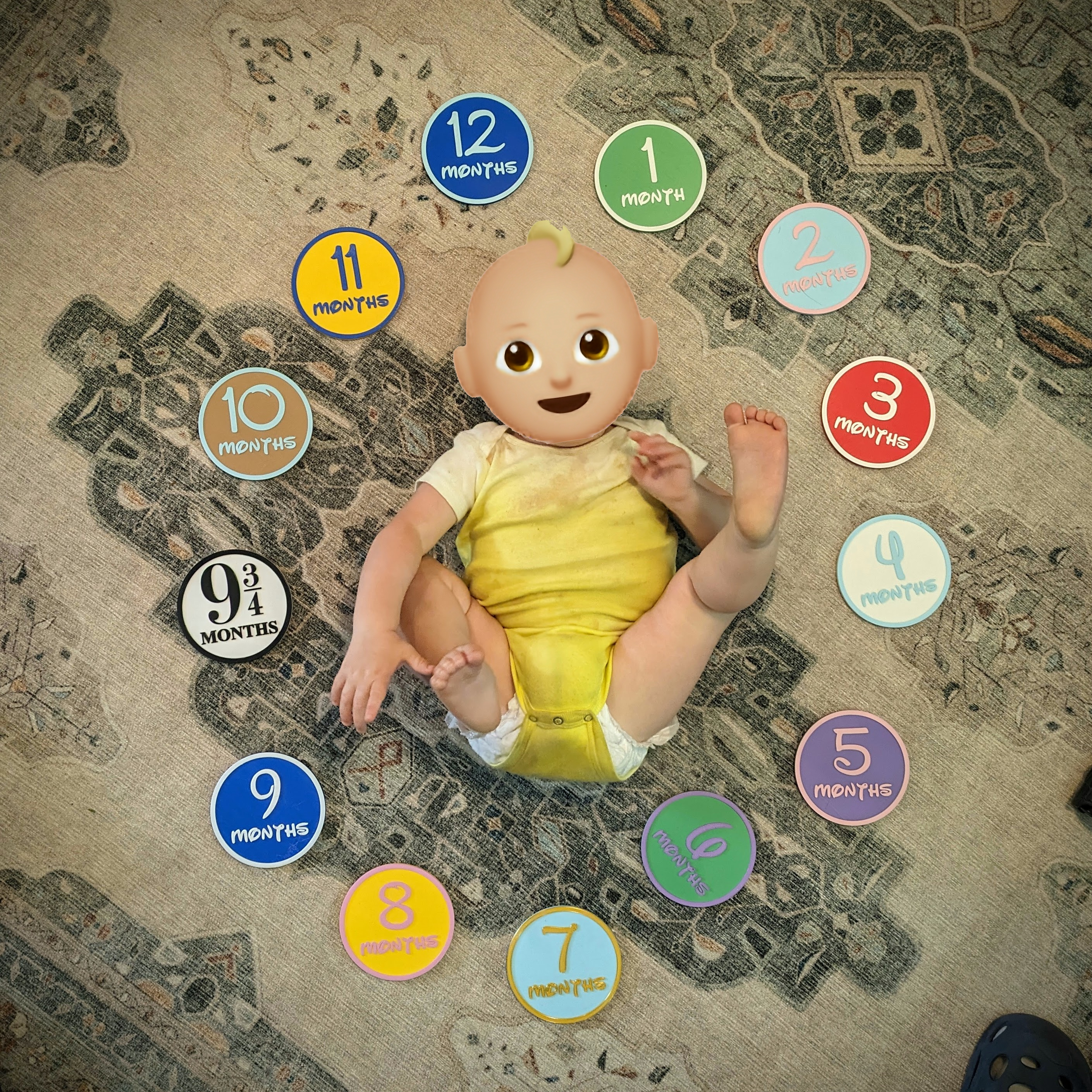 Baby Photo Month Numbers in Disney Font