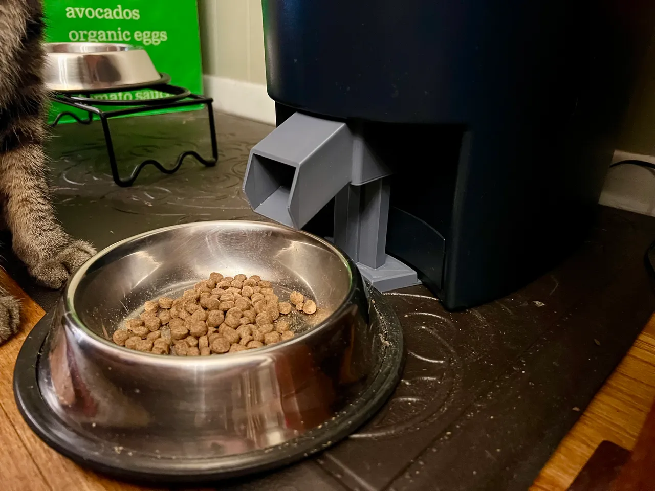Food Chute for PetSafe Smart Feed Automatic Pet Feeder by Steve