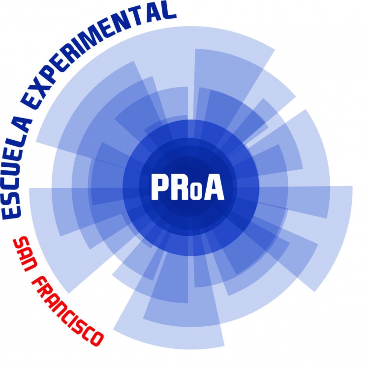 PRoA keychain