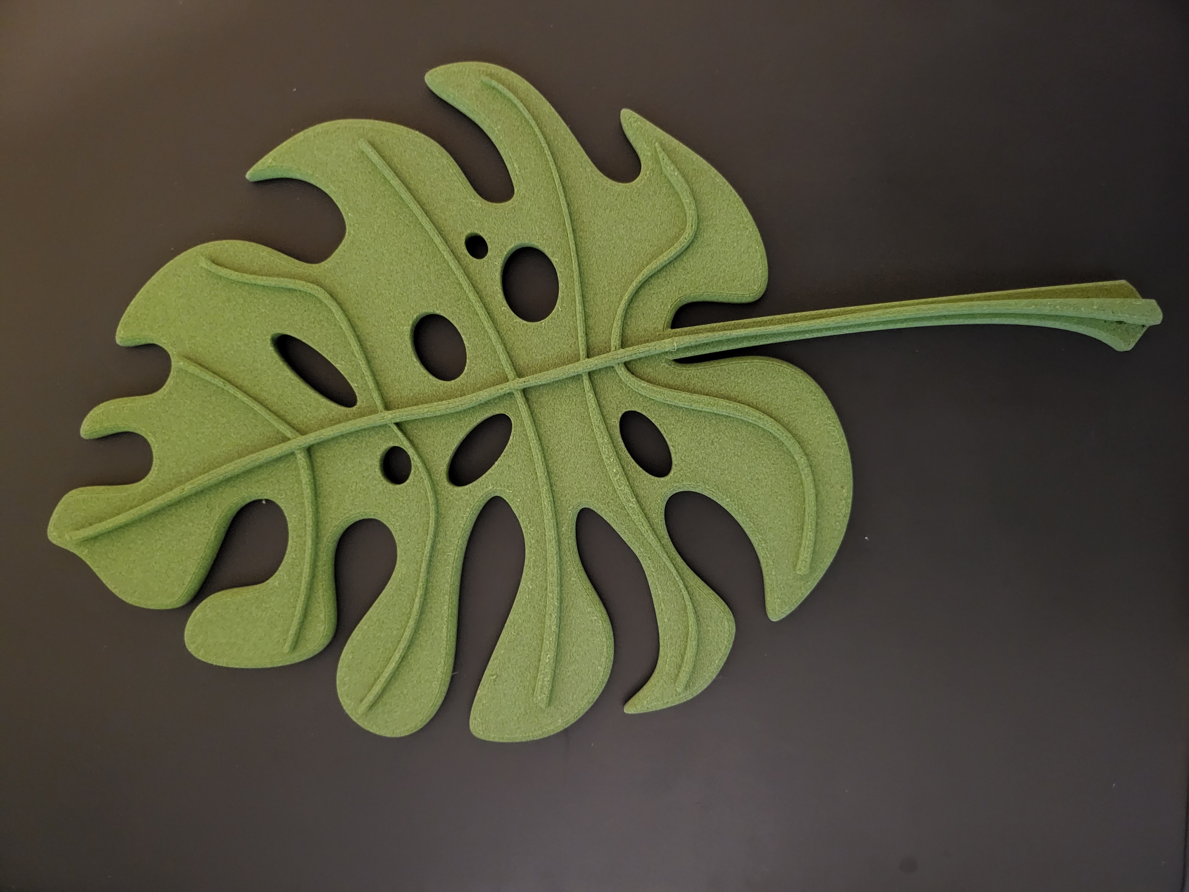 Monstera Plant Support