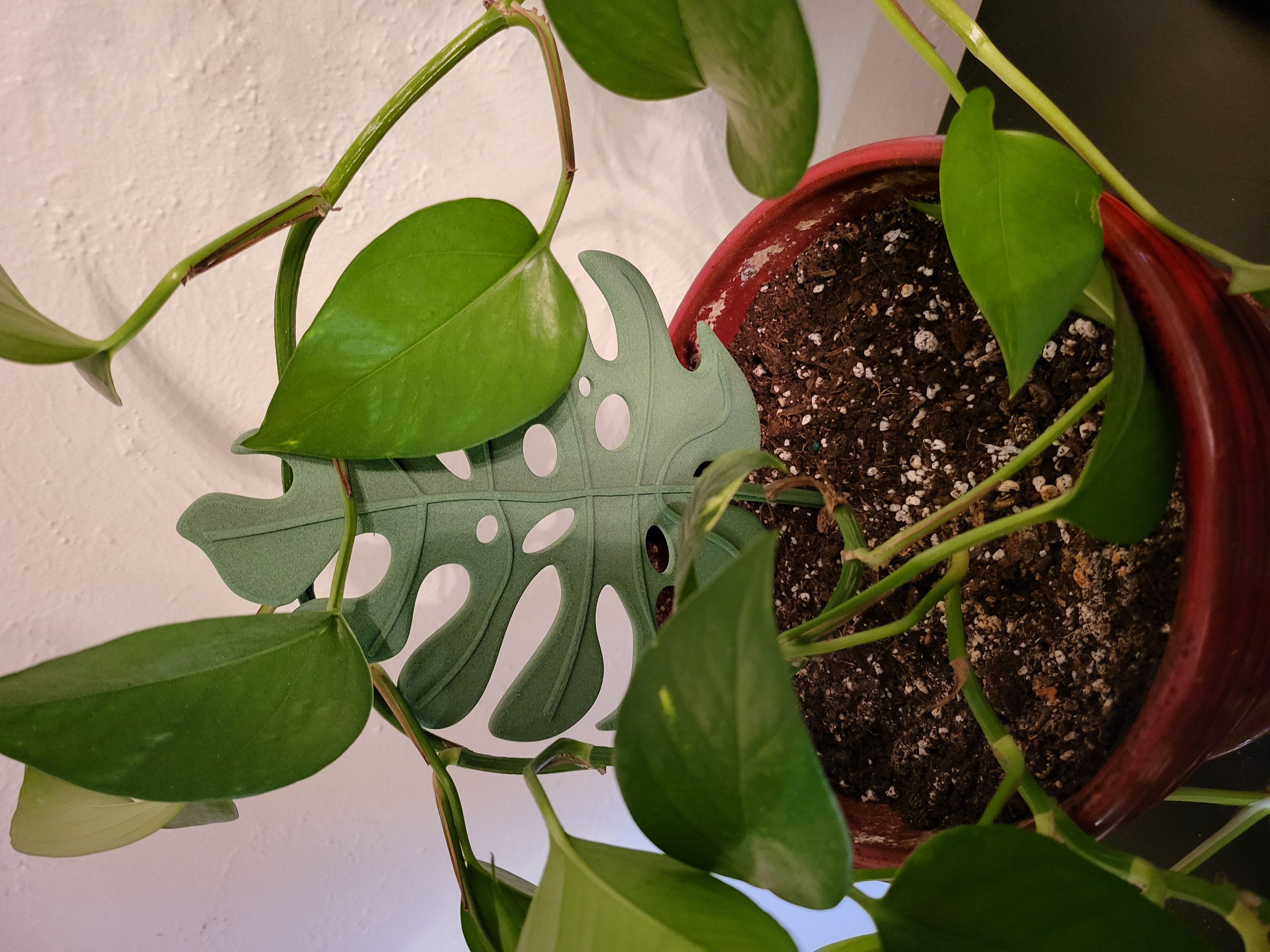 Miniatura 2 do modelo 3D Monstera Plant Support
