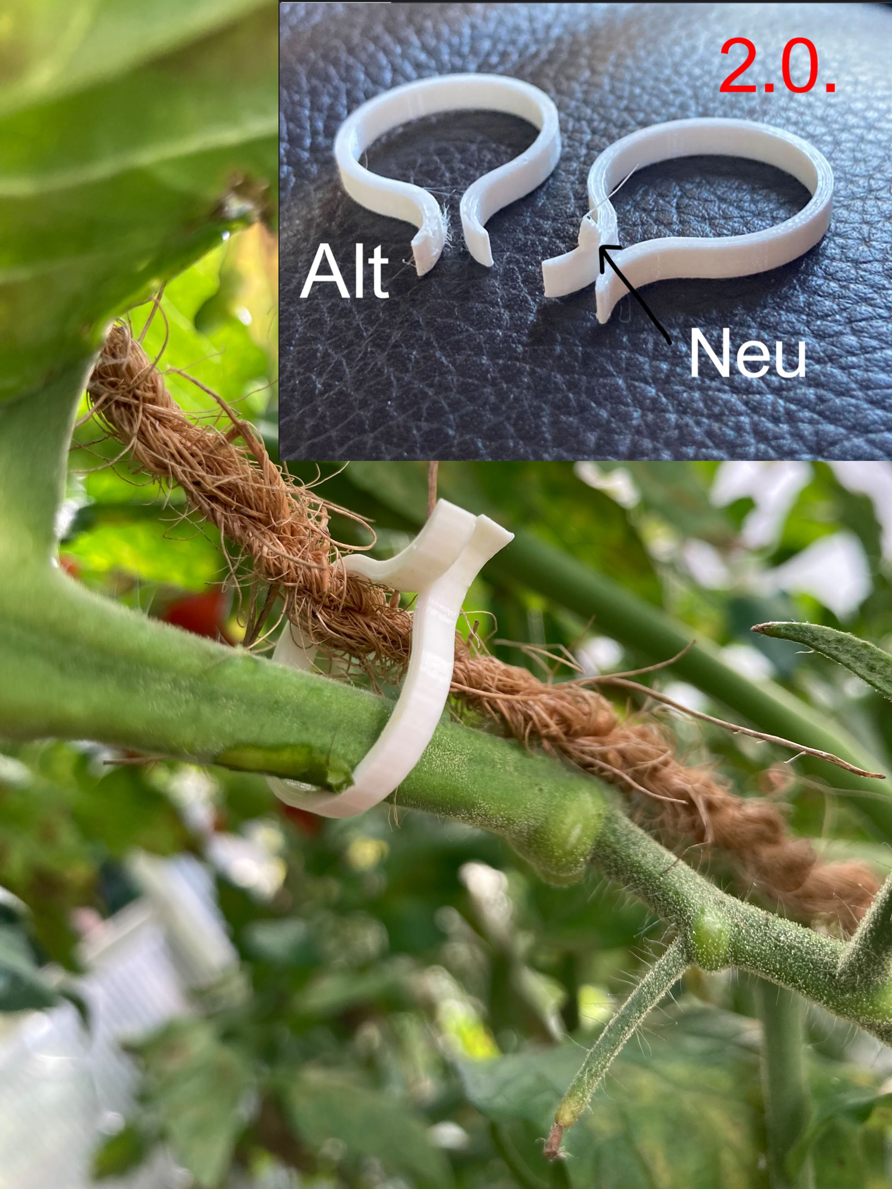 Tomato Clip 2.0.