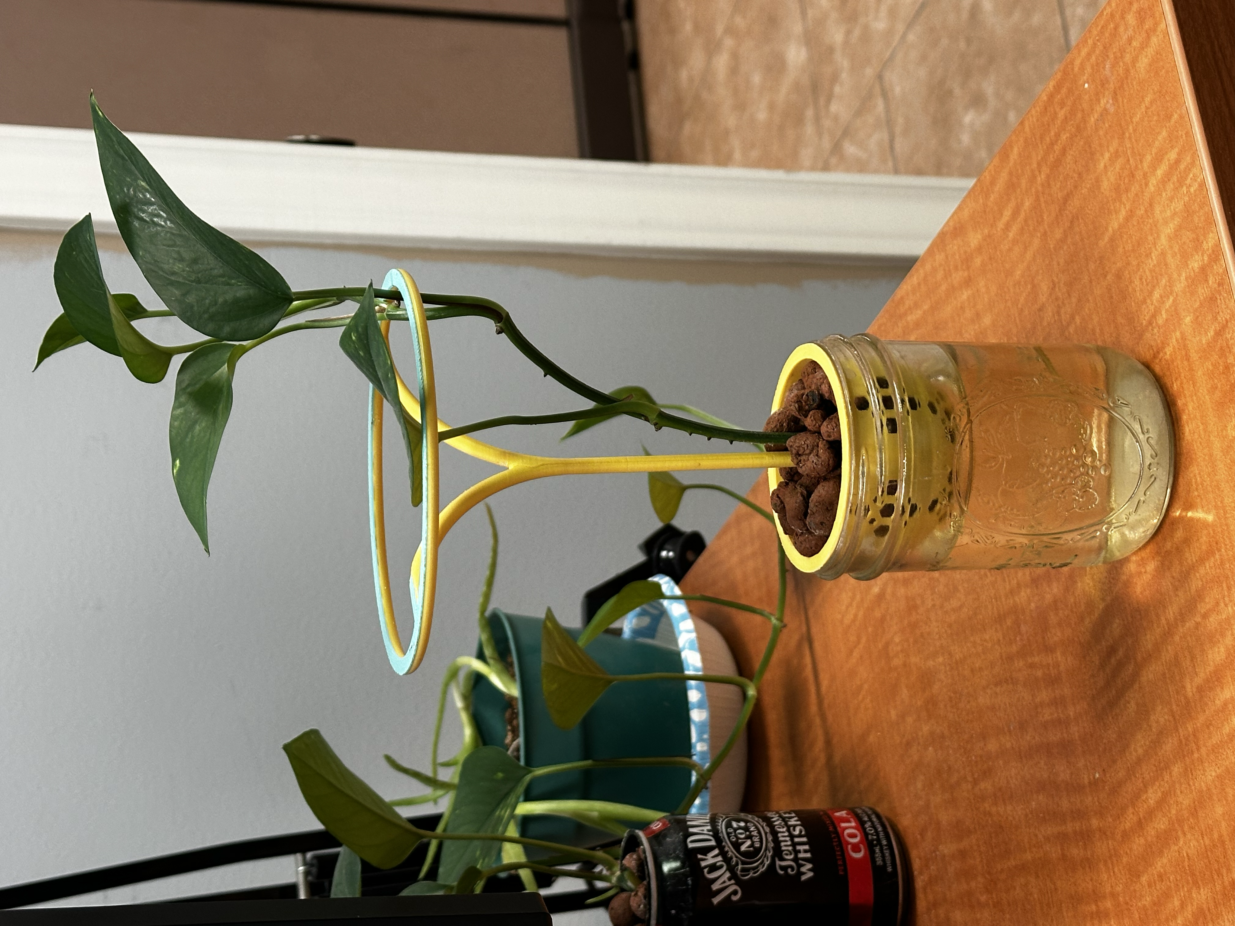 Mason Jar Net Pot with Stand