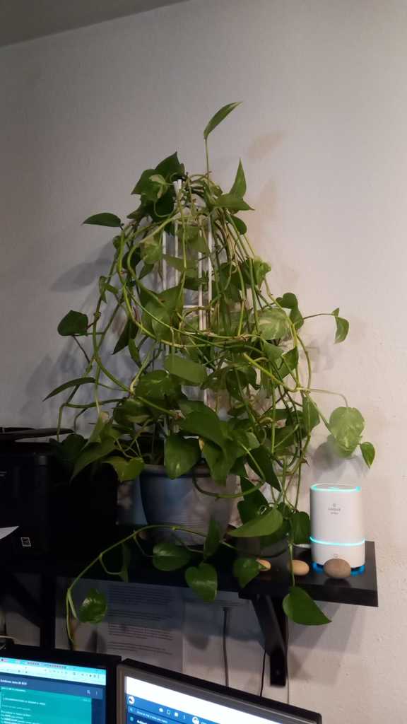SOPORTE PLANTA (25'5-65cm) POTUS MODULAR ROBUSTO