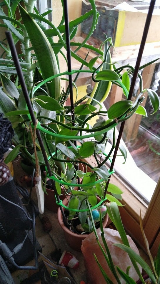 Creep Tower - help plants grow