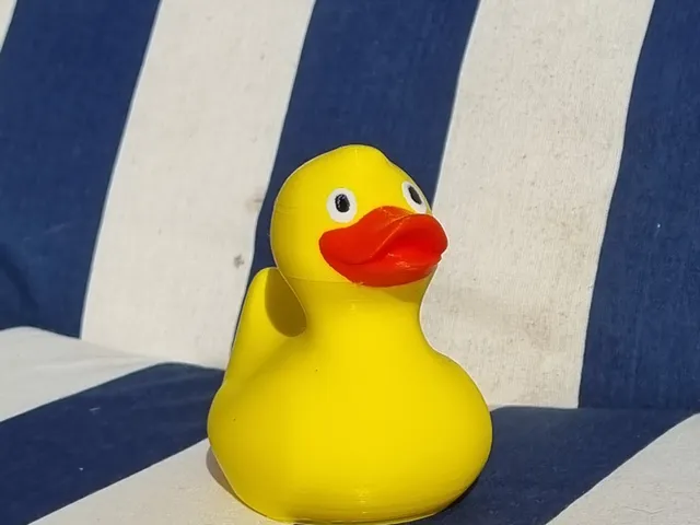 painted rubber ducky