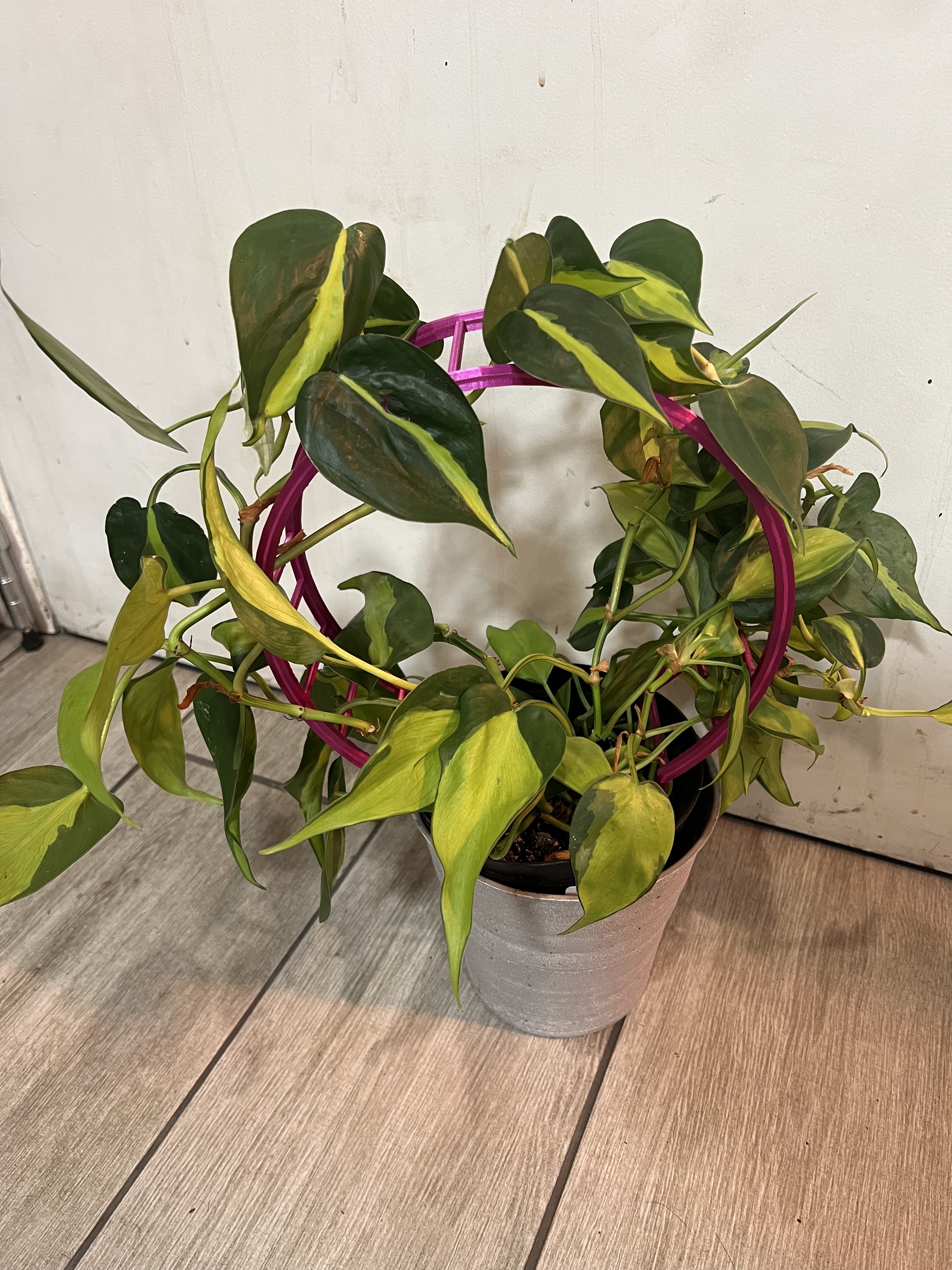 Miniatura 4 do modelo 3D Loop da loop trellis