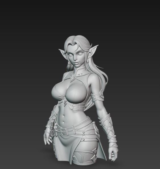 elf adventurer — miniatura 2