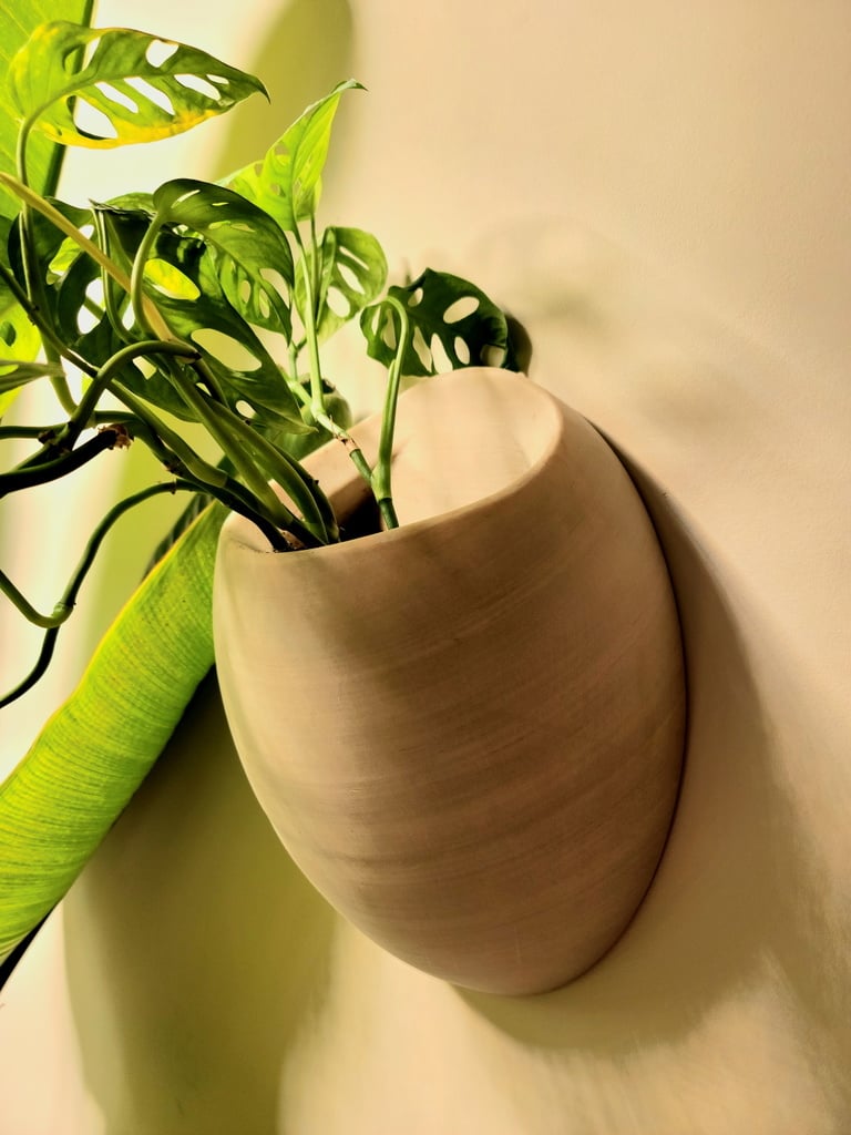 Large Wall Hanging Planter