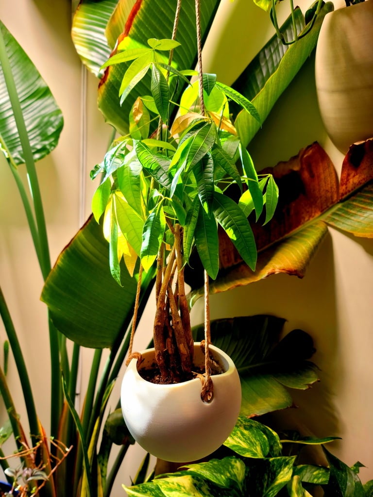 Round Hanging Planter
