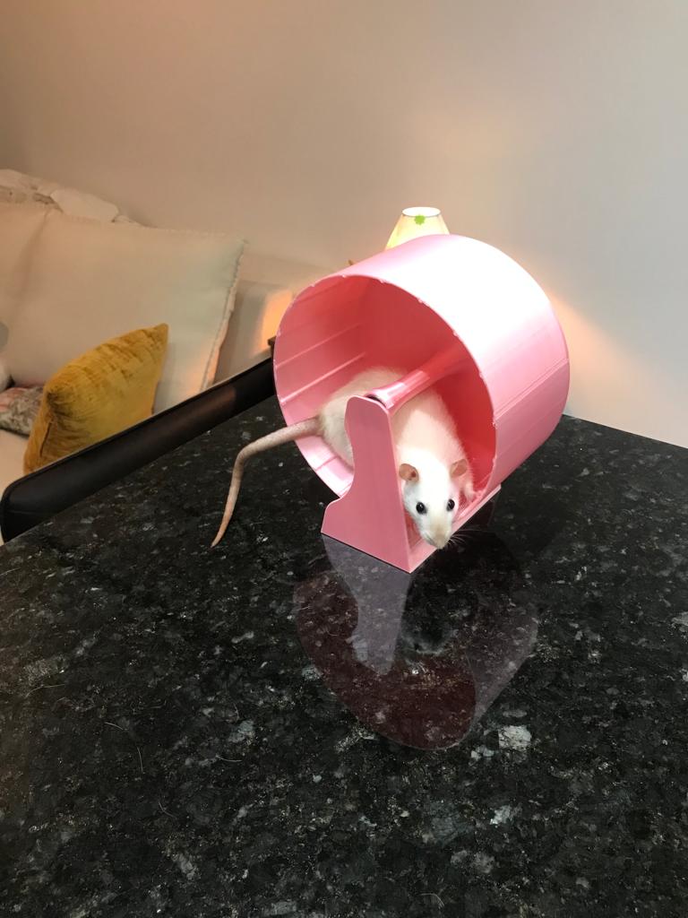 Big rat wheel by ZanaModels3D Download free STL model