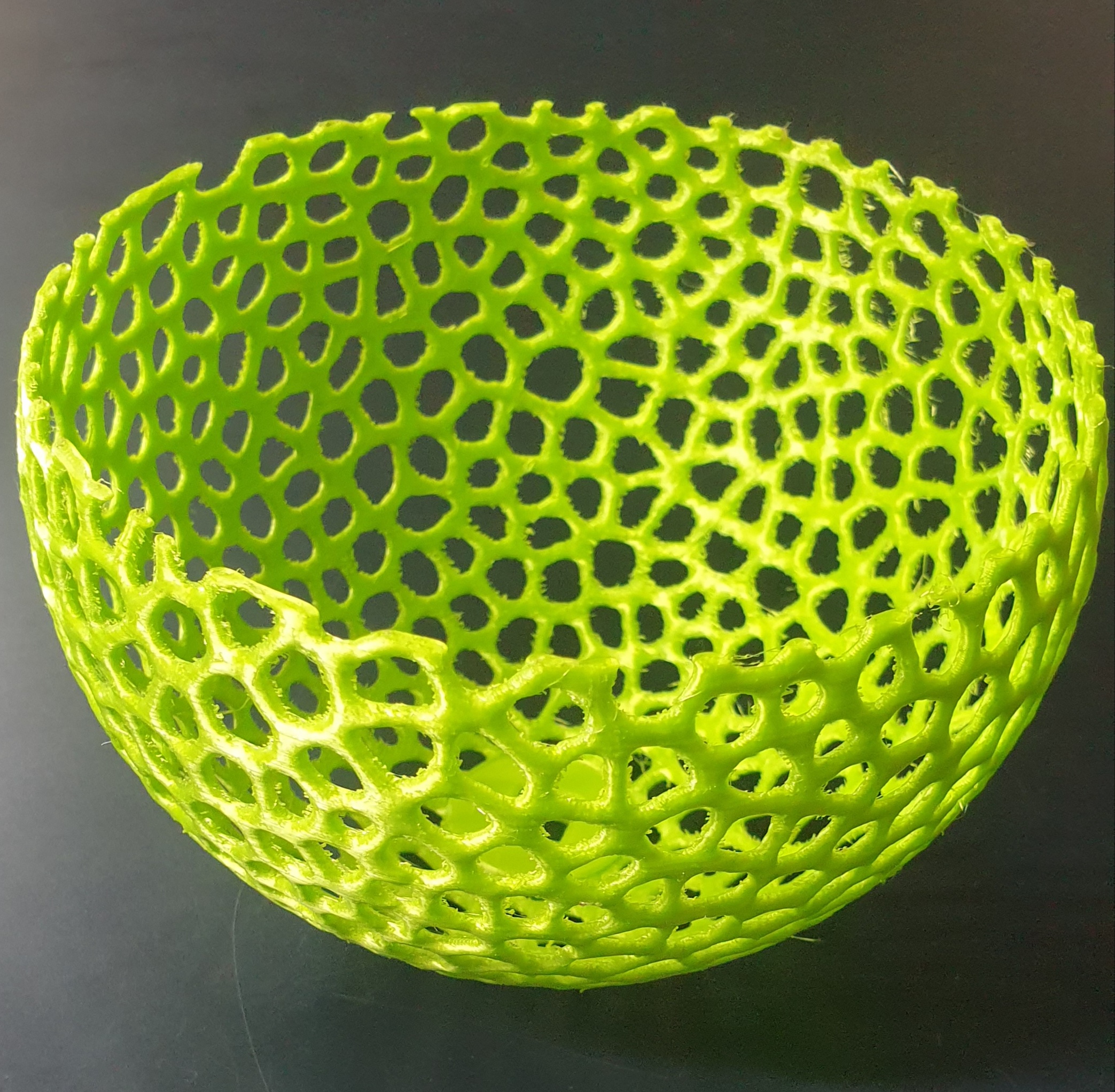 voronoi bowl plant support