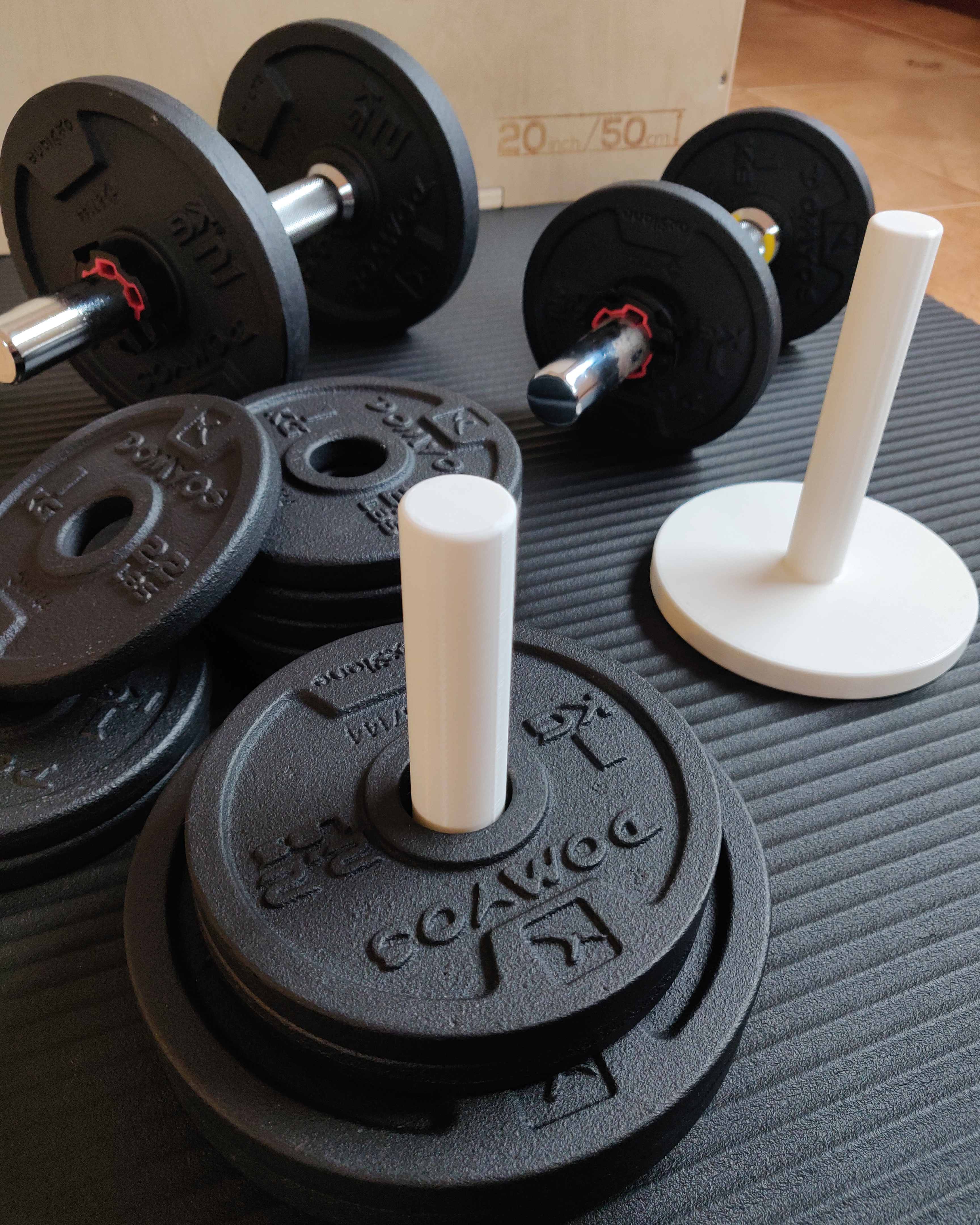 Weight plates holder