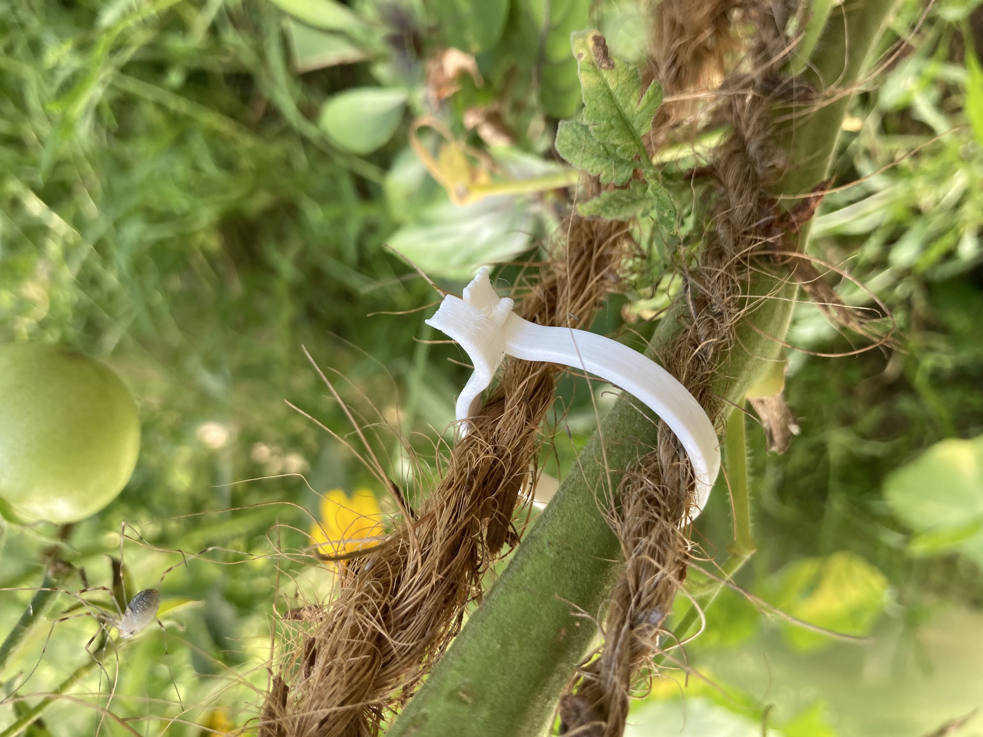 Tomato Clip 3.0. (30mm)