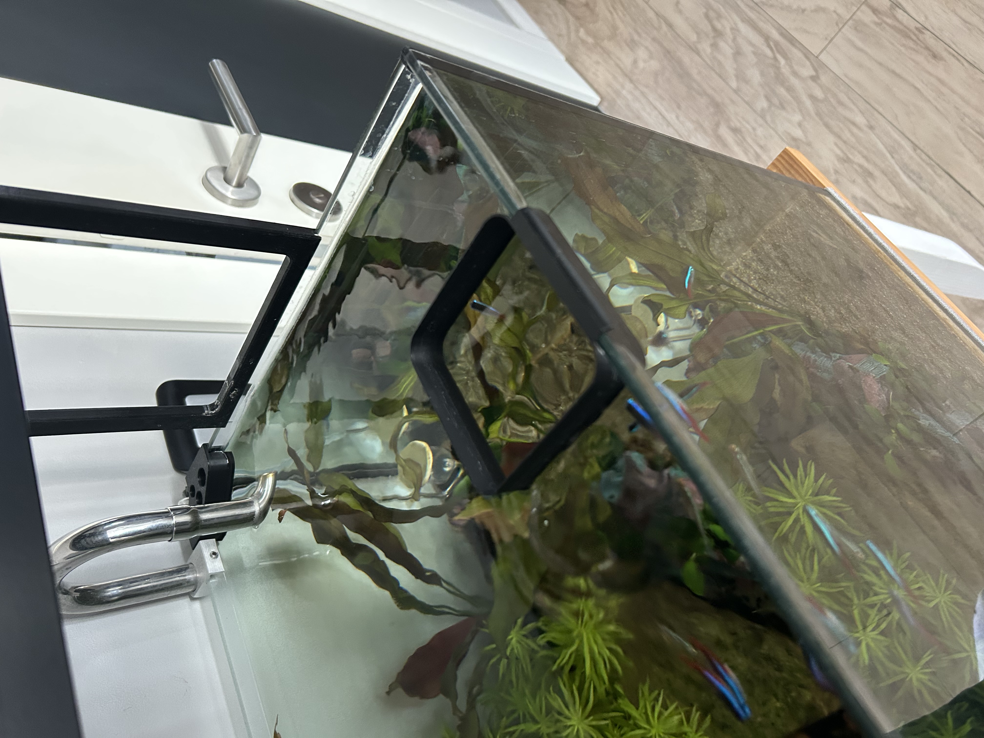 Feeder for feeding aquarium fish