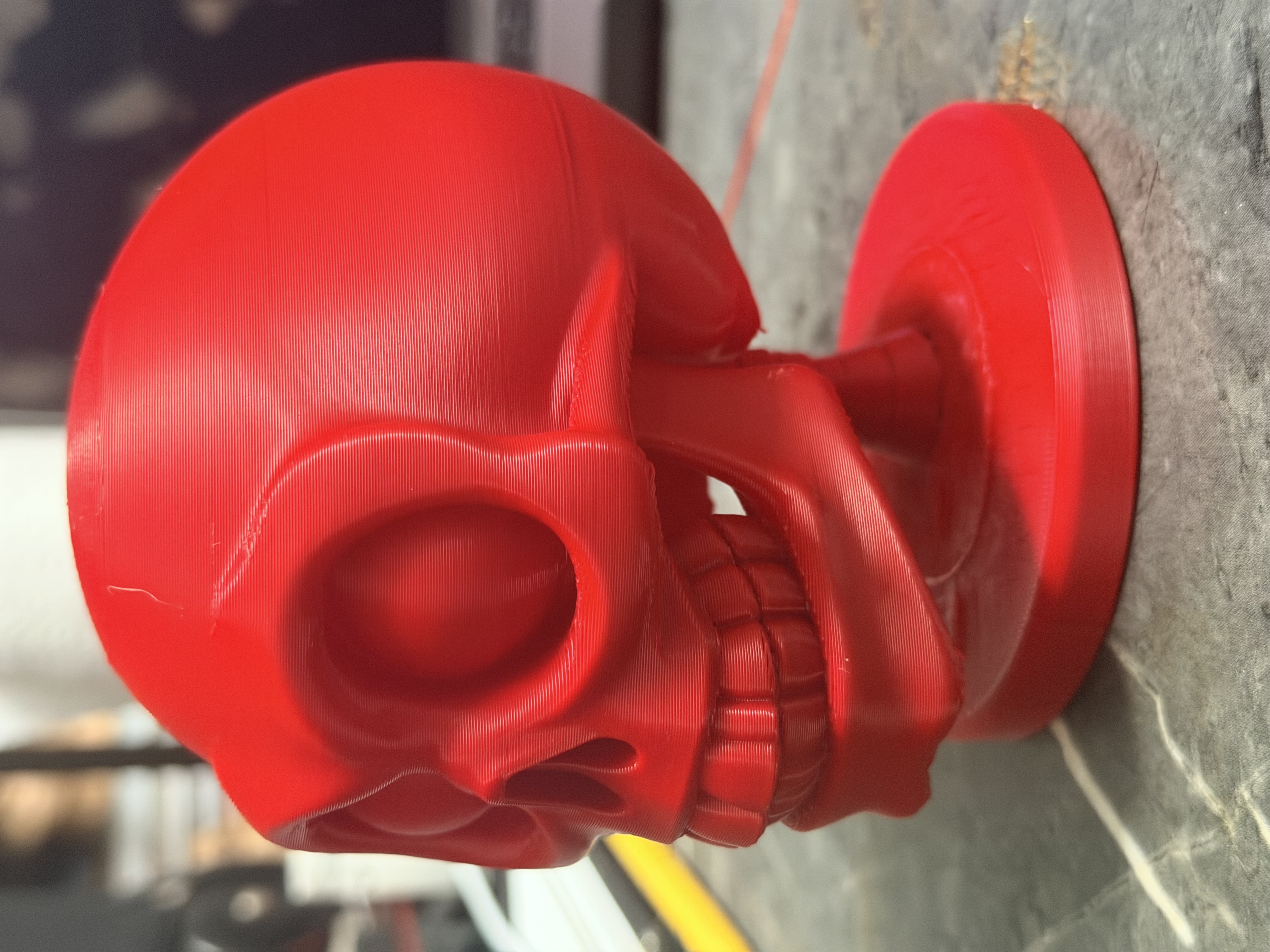 Skull